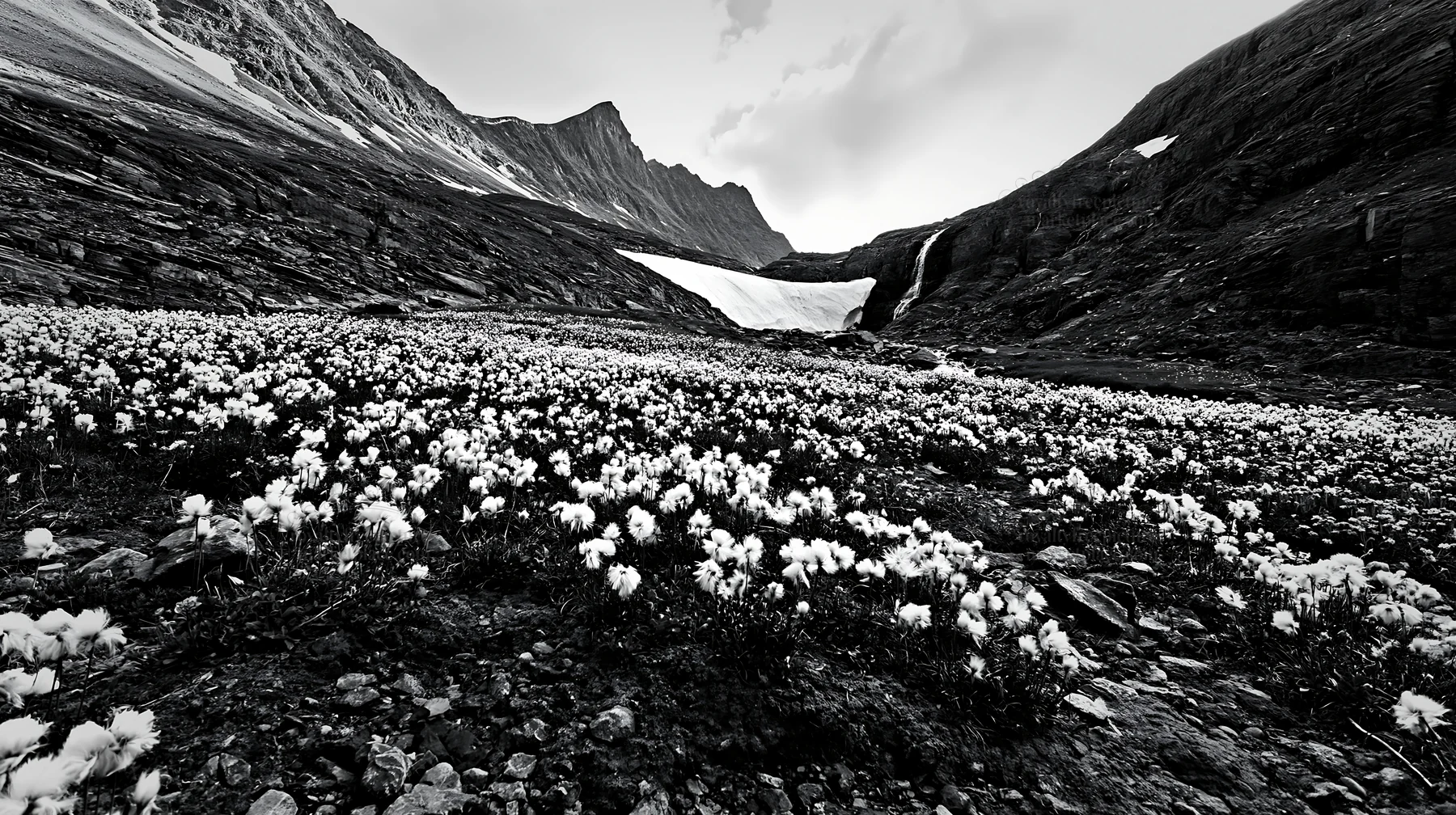 Mountain flower meadow with waterfall and rocky landscape - AI-generated stock image