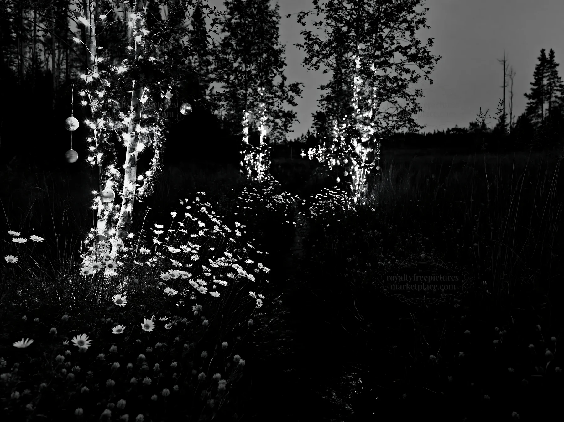 Christmas lights beside a stream in a meadow at dusk - AI-generated stock image