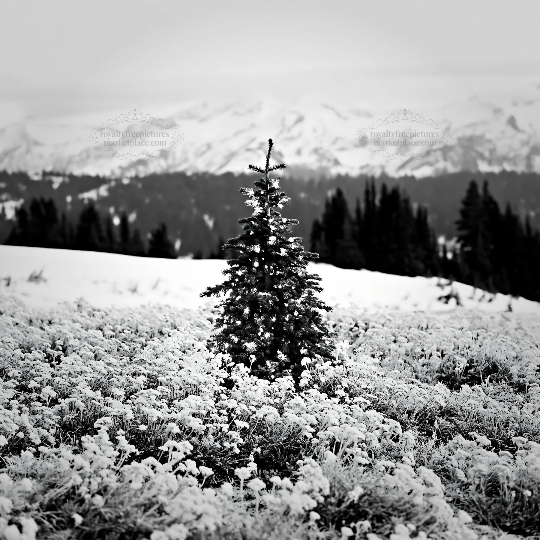 Christmas tree with lights in snowy mountain valley - AI-generated stock image