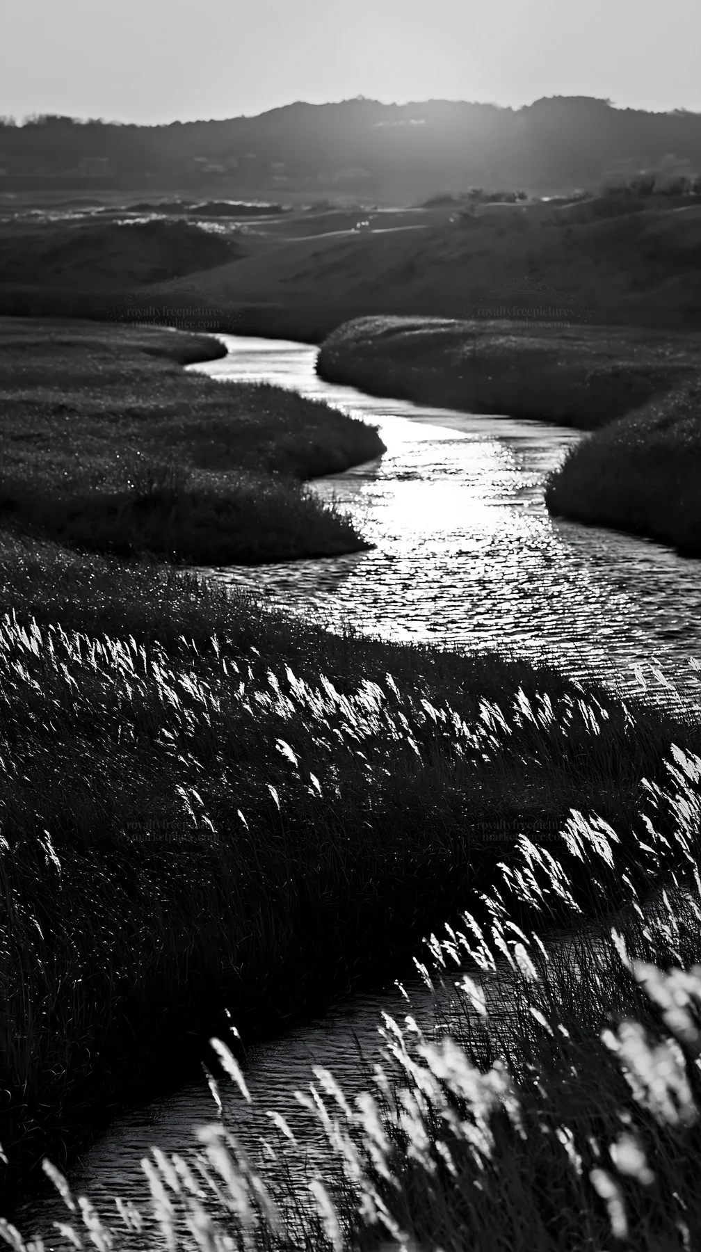 Winding stream in Tottori windy meadow with dune grasses - AI-generated stock image