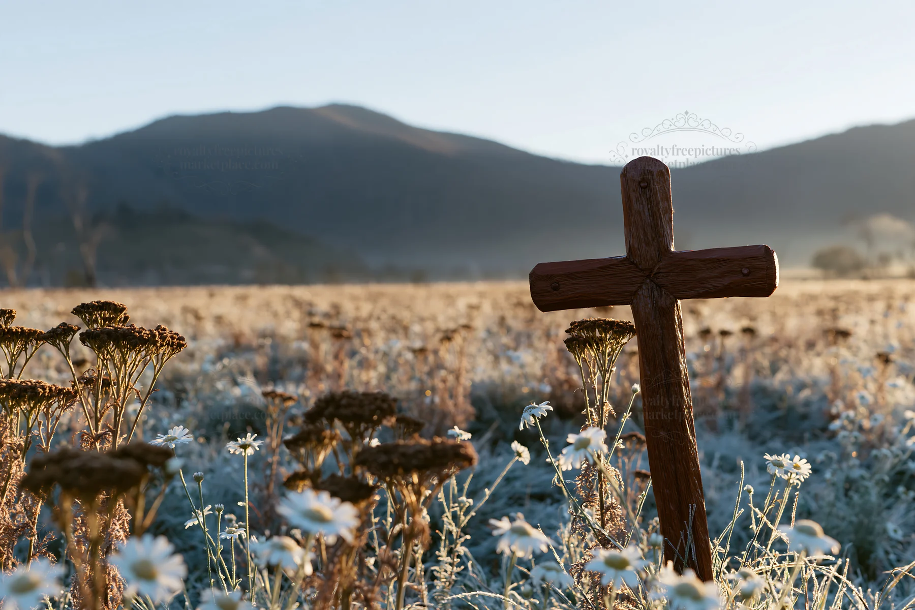Handcrafted Christian cross in a Christmas meadow at sunrise - AI-generated stock image