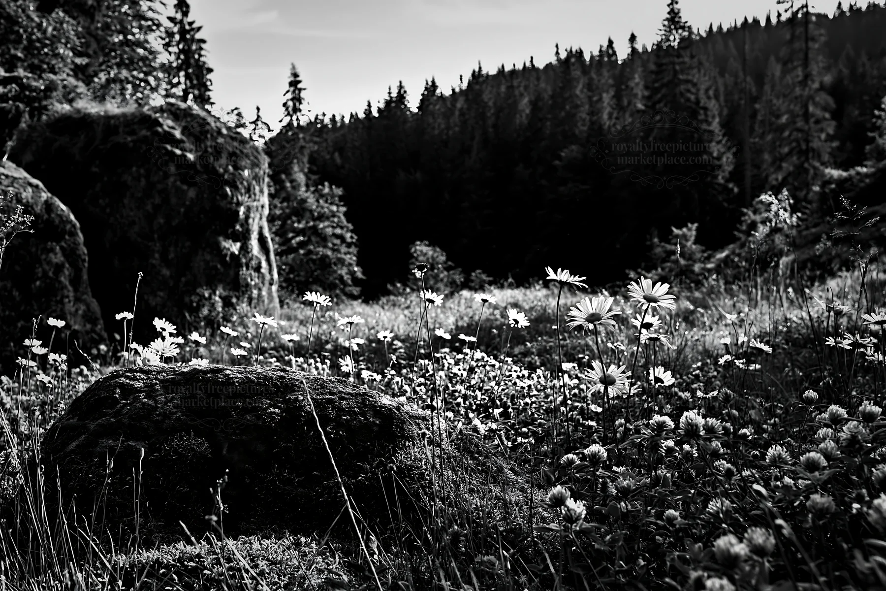 Mossy boulder in a meadow surrounded by flowers and trees - AI-generated stock image