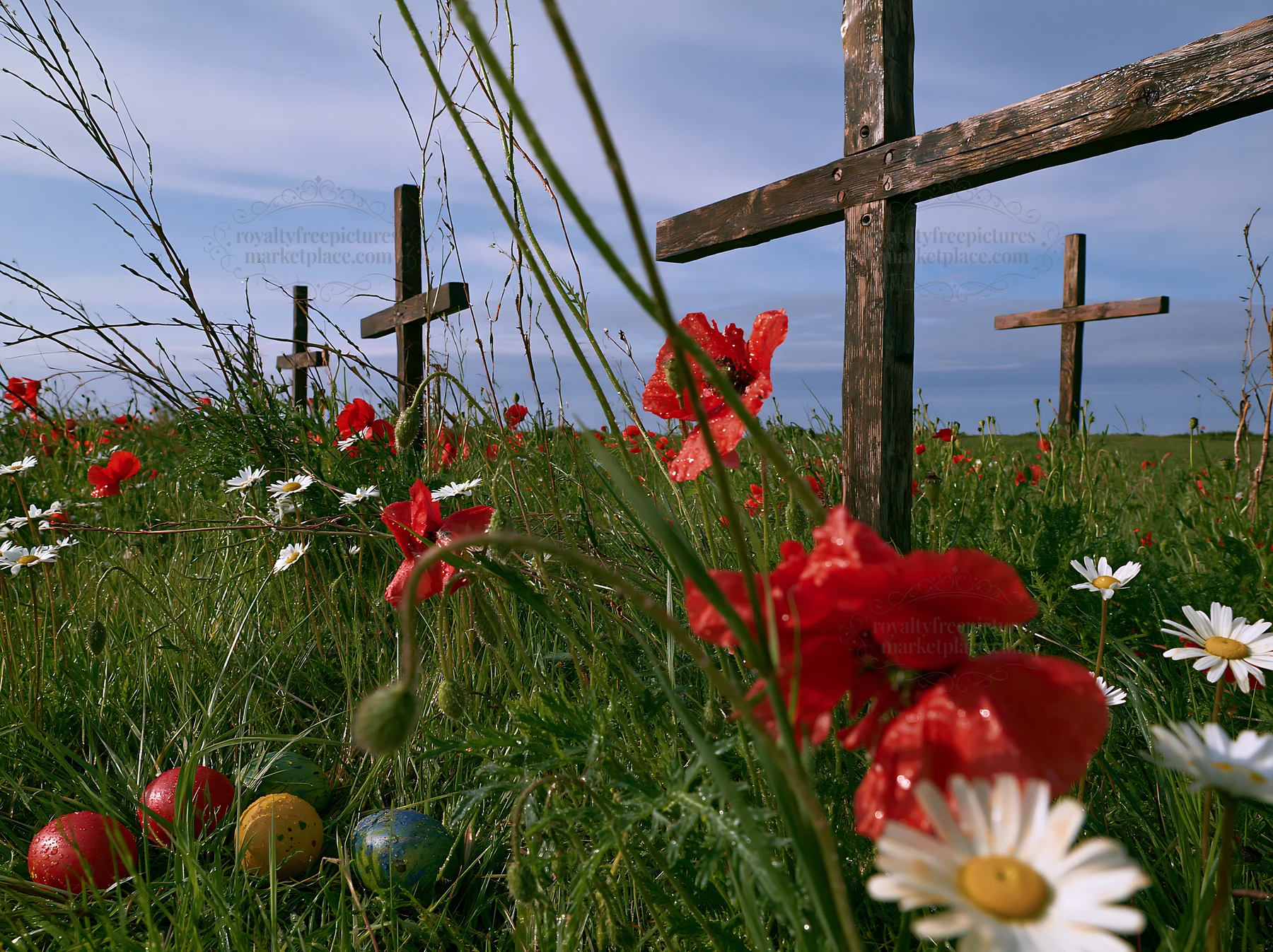 Christian crosses in rain soaked meadow with flowers - AI-generated stock image