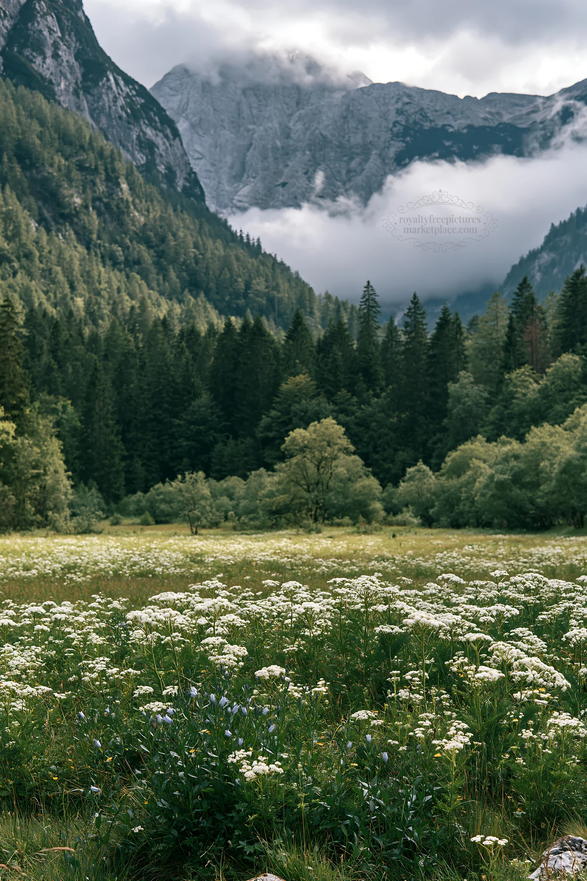 Meadow beneath crags with flowers and trees in the mountains - AI-generated stock image