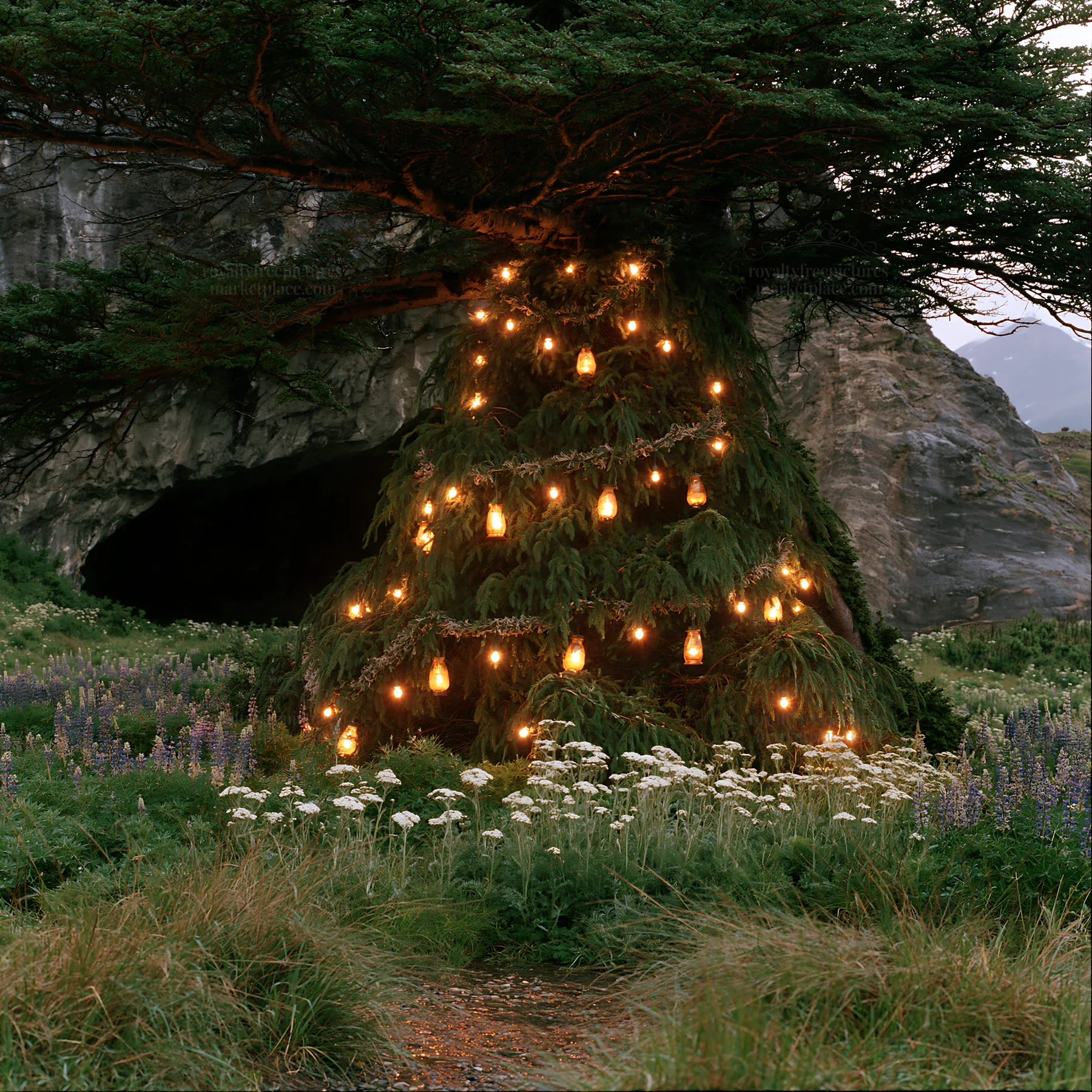 Christmas tree with lanterns in meadow by cave - AI-generated stock image