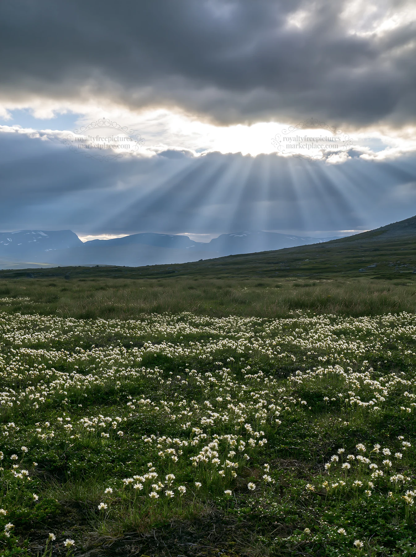 Jotunheimen valley meadow sunbeams brighten the landscape - AI-generated stock image