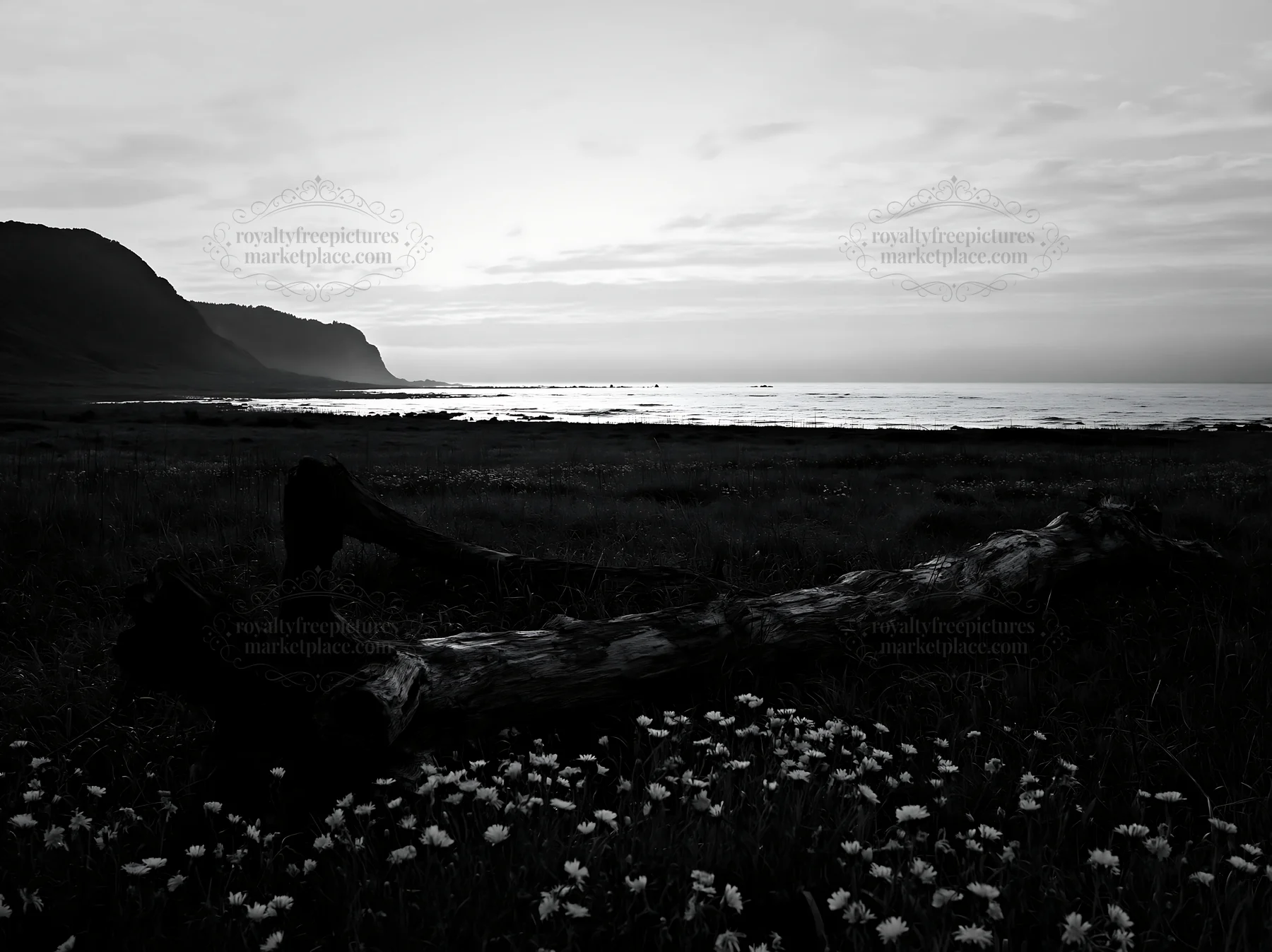Ishikawa coastal meadow with driftwood during a storm - AI-generated stock image
