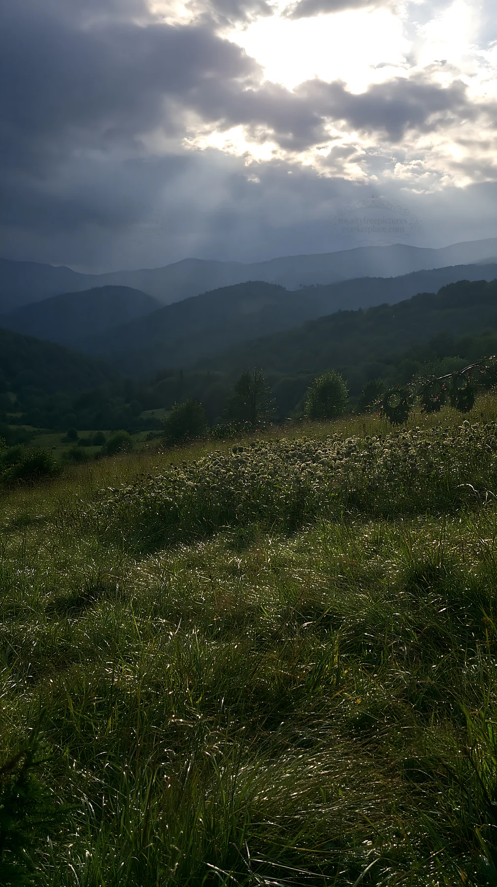 Christmas wreaths in meadow beneath clouds and rays - AI-generated stock image