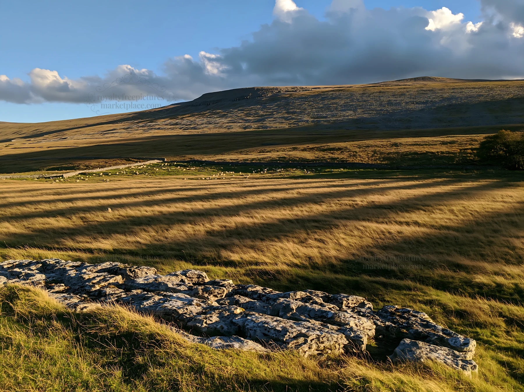 Autumn meadow with rocky landscape under blue sky - AI-generated stock image