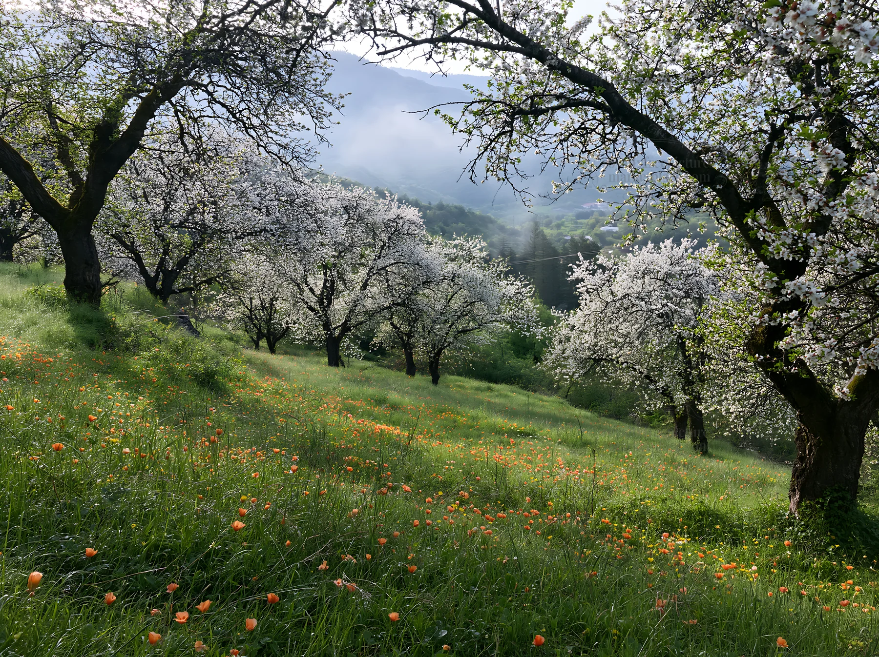 Spring orchard meadow with blossoming trees and yellow flowers - AI-generated stock image