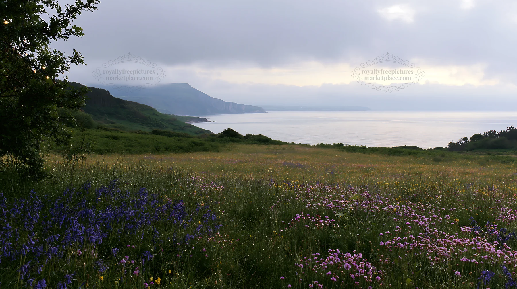 Wide Christmas meadow with native flowers and fairy lights - AI-generated stock image