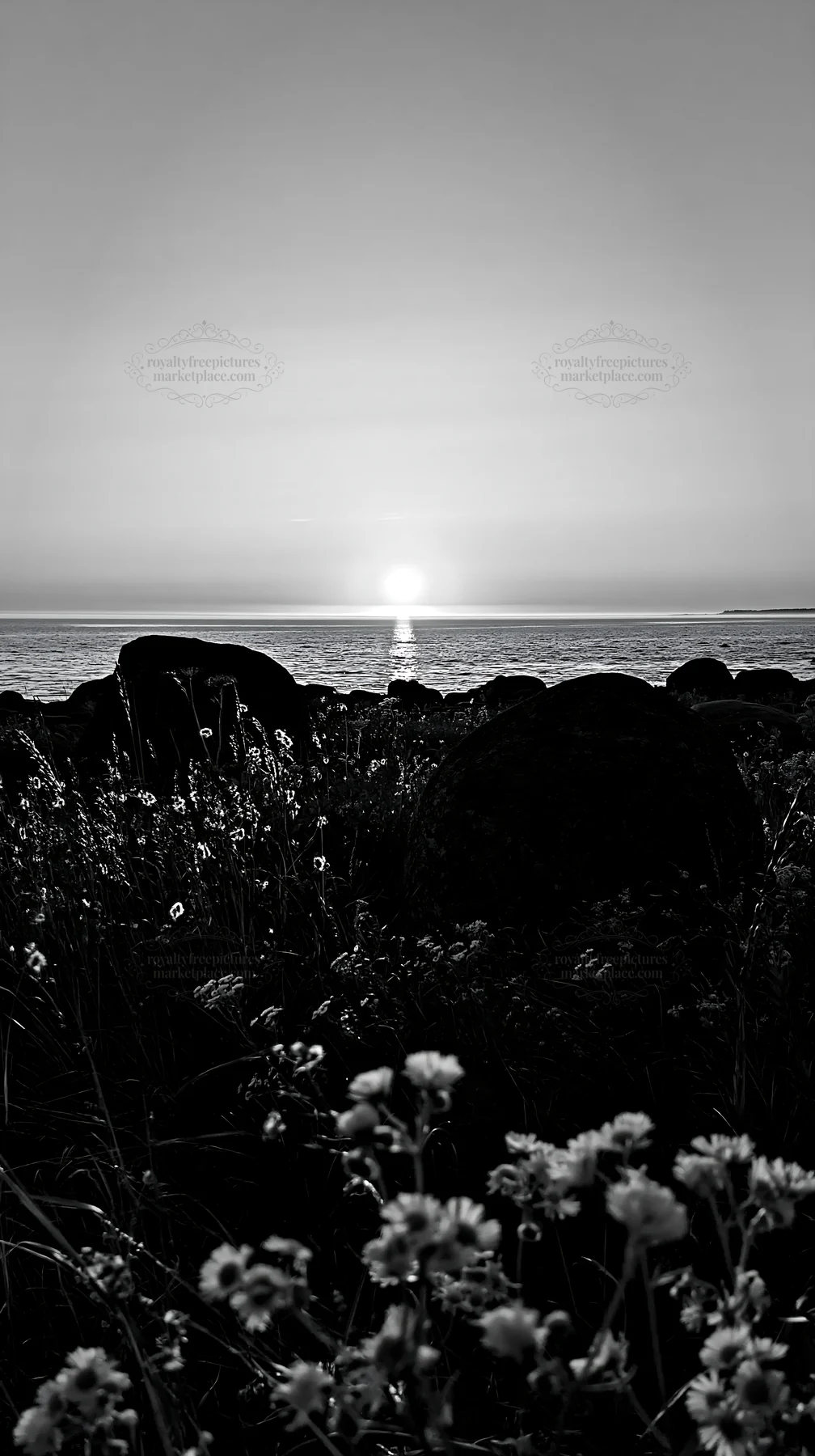 Sunset over boulders with flowers in a meadow - AI-generated stock image