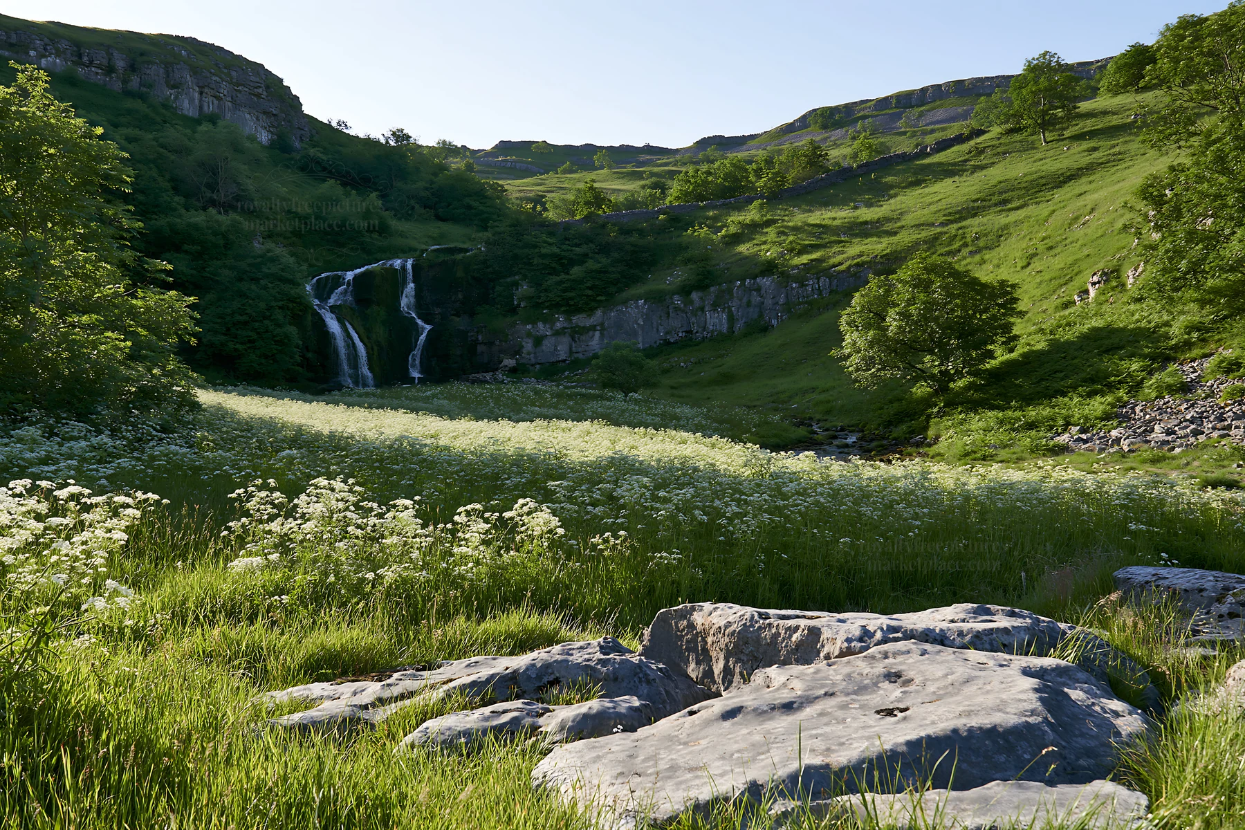 White wildflower meadow with waterfall in a hilly landscape - AI-generated stock image