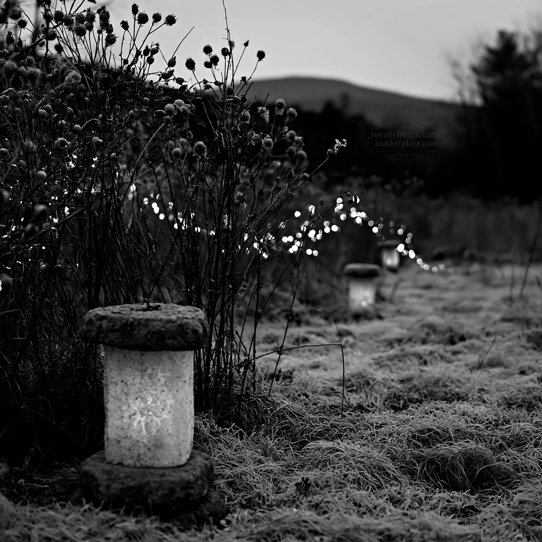Frost-covered meadow with lanterns and seedheads at dusk - AI-generated stock image