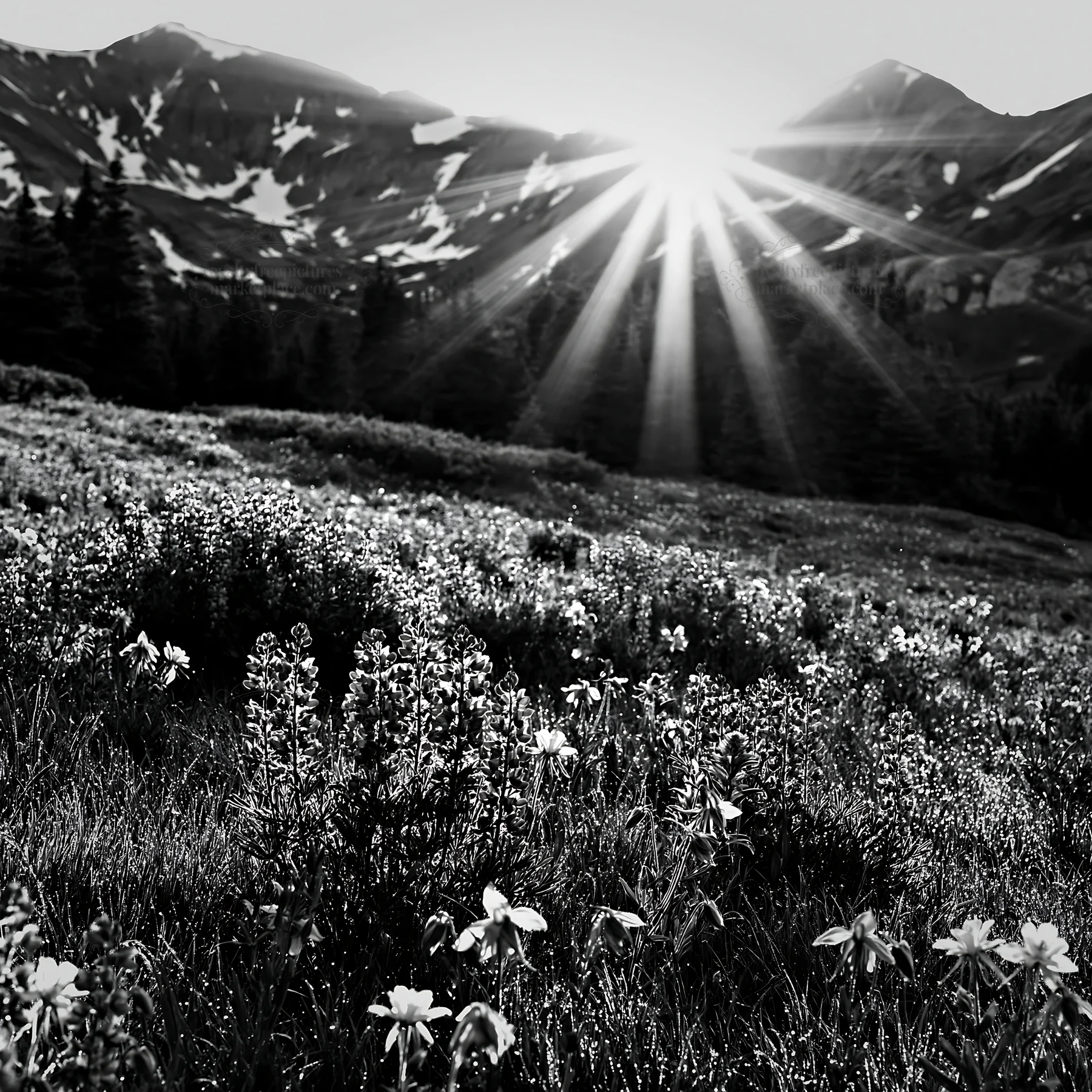 Sunrays shining over a meadow with flowers and mountains - AI-generated stock image