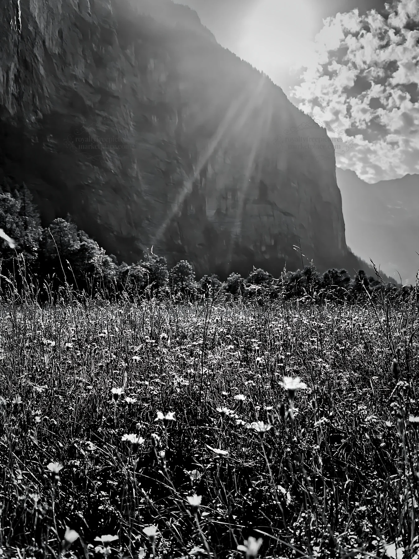 Light rays over meadow in Lauterbrunnen Valley - AI-generated stock image