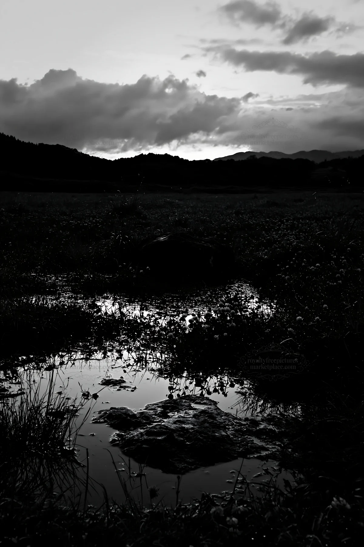 Black and white nagano drought resilient meadow granite boulder at sunset - AI-generated stock image
