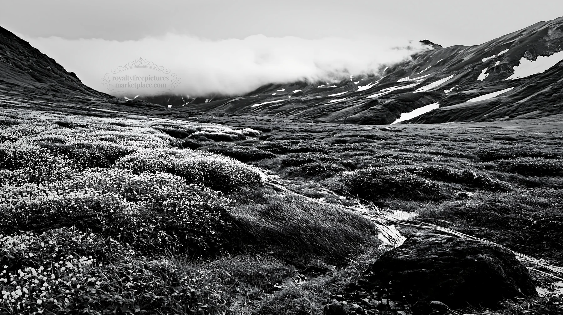 Snowmelt in Toyama alpine meadow with rocks in the foreground - AI-generated stock image