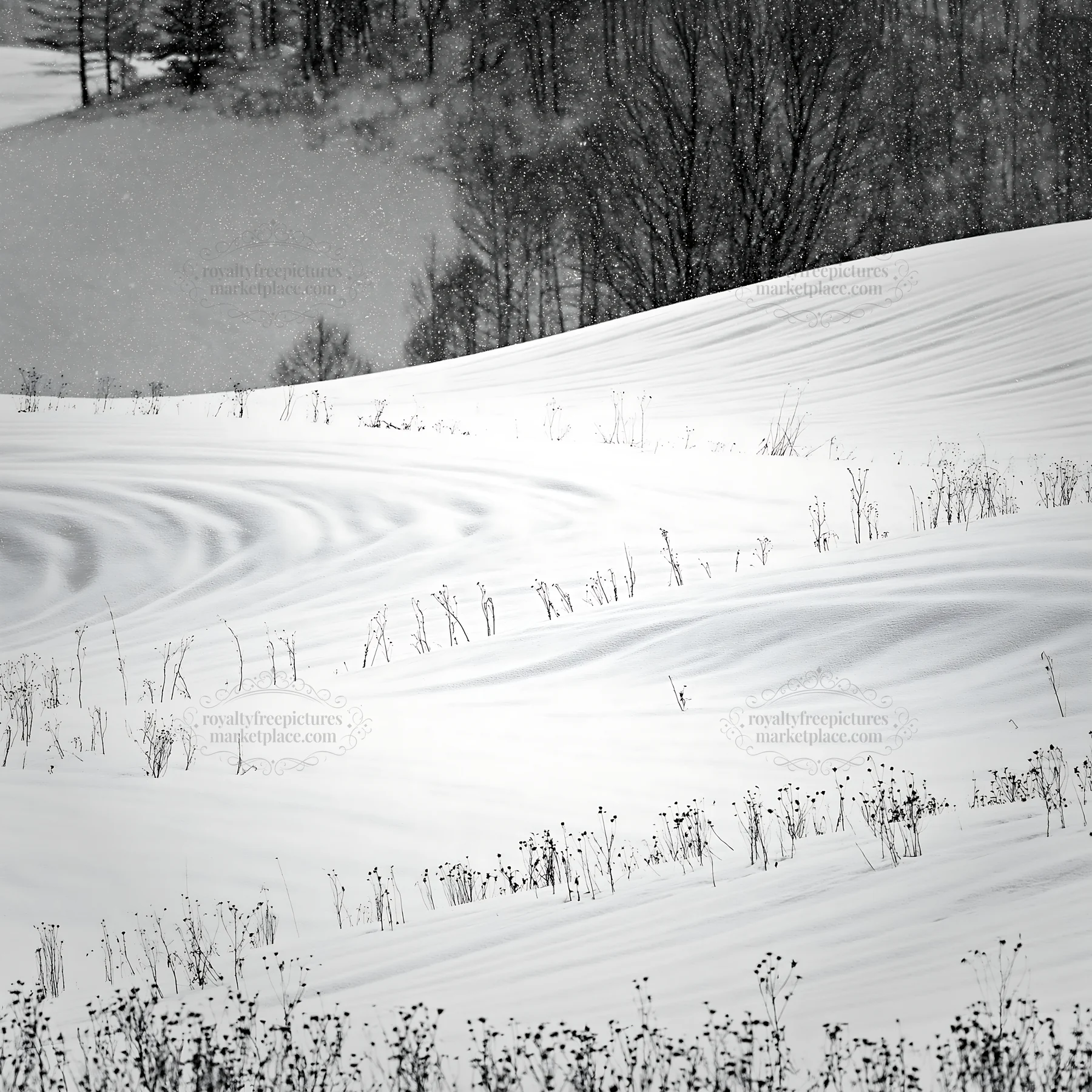 Snow covered hills and meadow in Biei during winter - AI-generated stock image