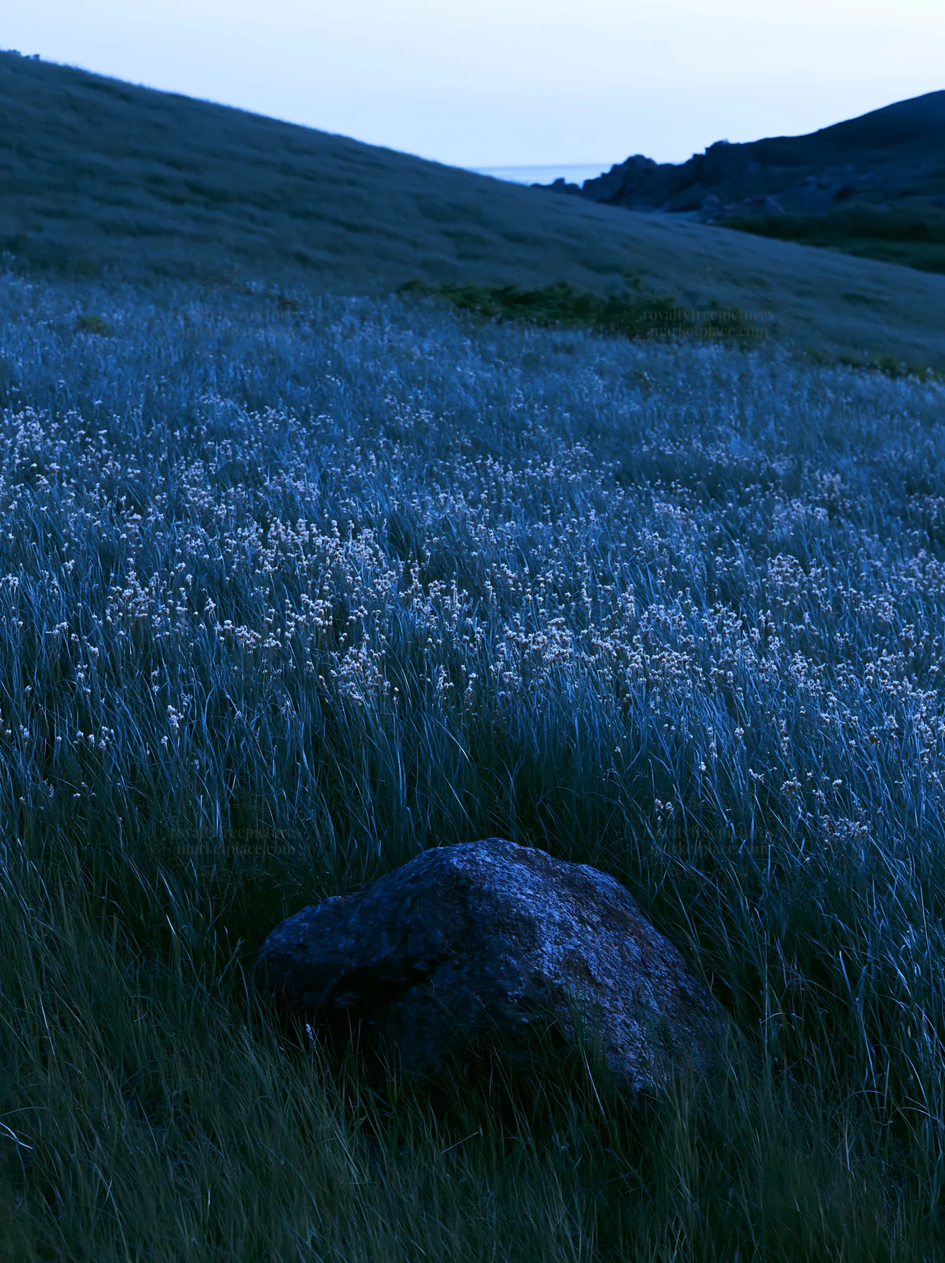 Aomori climate resilient meadow with boulder - AI-generated stock image