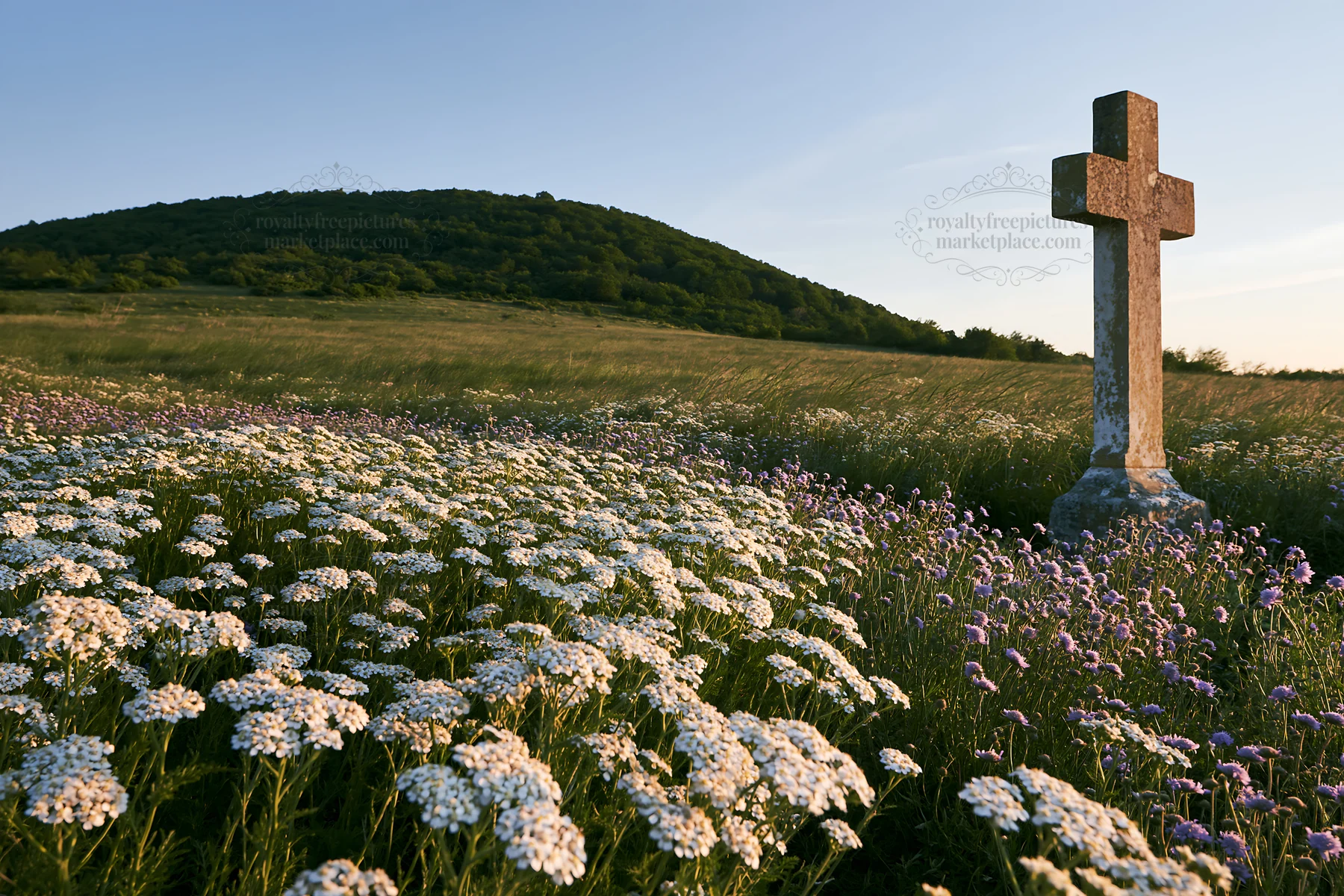 Christian cross in meadow during blue hour - AI-generated stock image