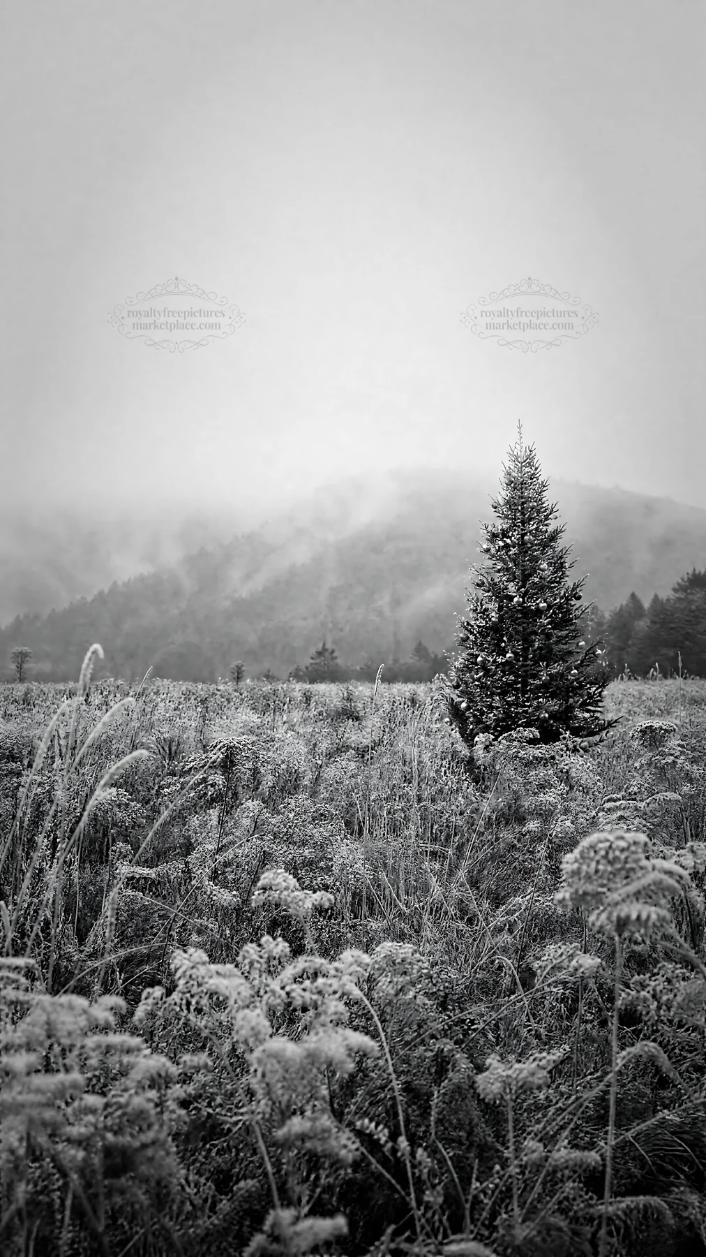 Vibrant Christmas tree in winter meadow with mountain backdrop - AI-generated stock image