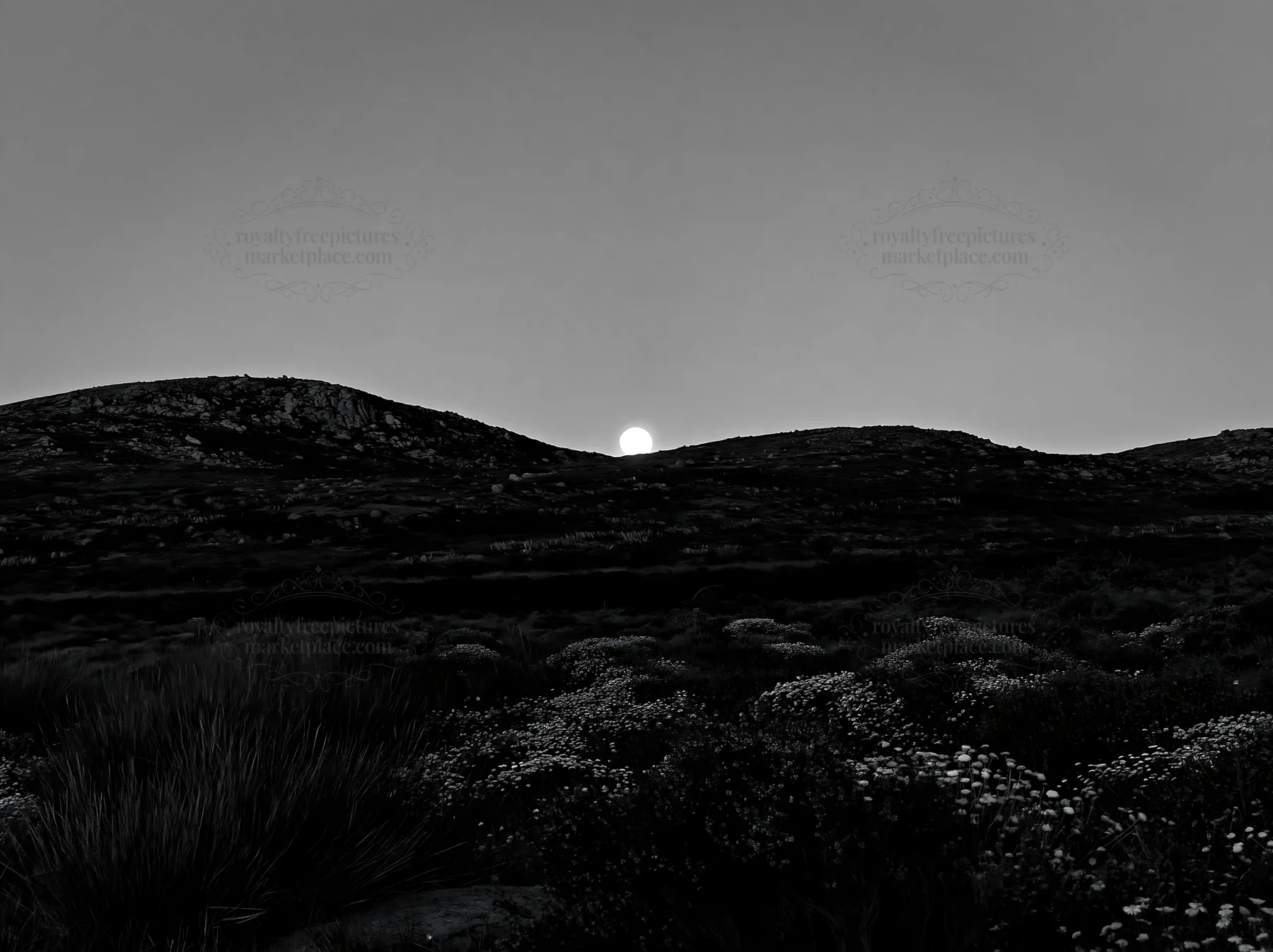 Moonrise over a meadow with hills in the background - AI-generated stock image