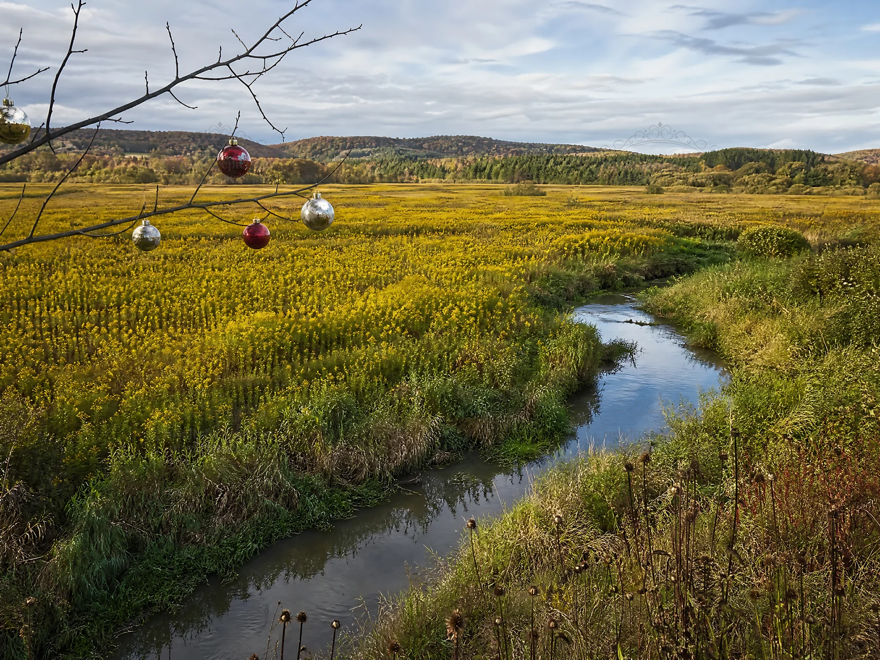 Christmas ornaments hanging above stream in meadow - AI-generated stock image