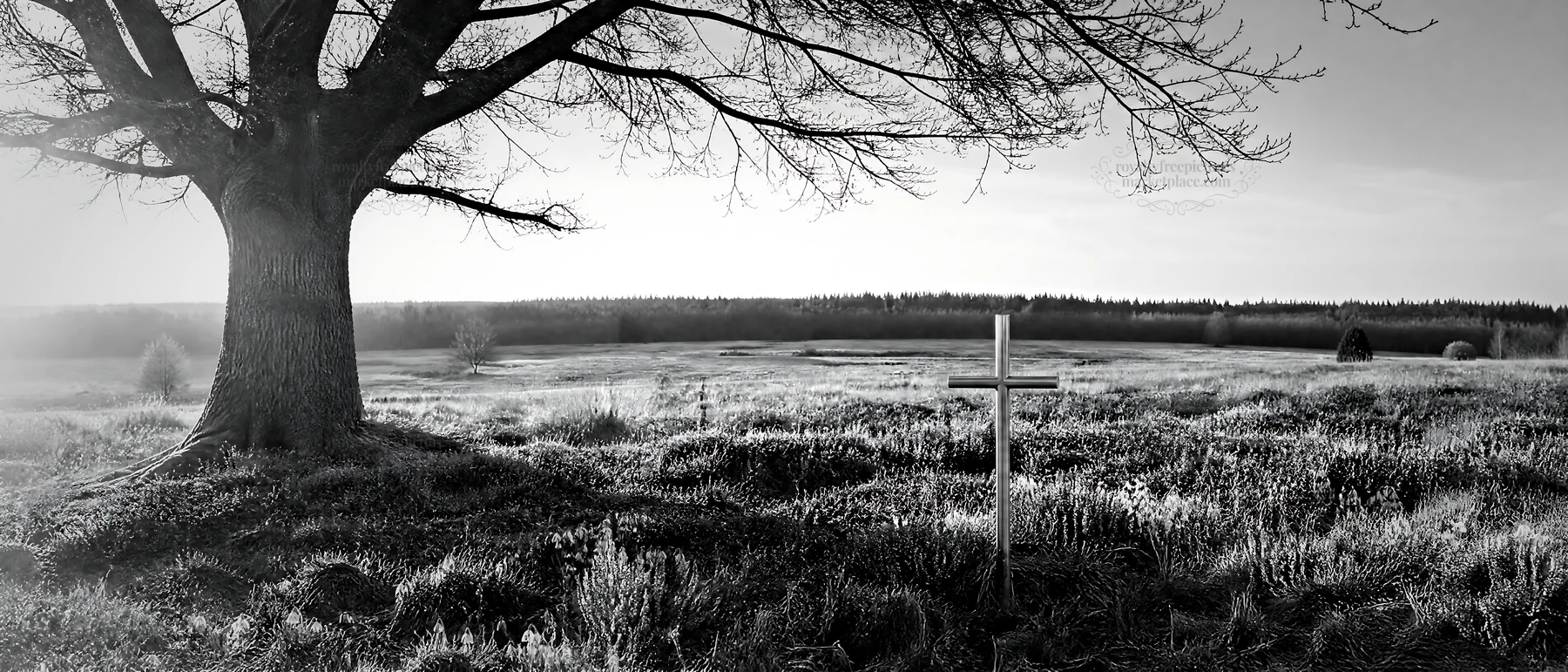 Christian cross in meadow with low light and winter scenery - AI-generated stock image