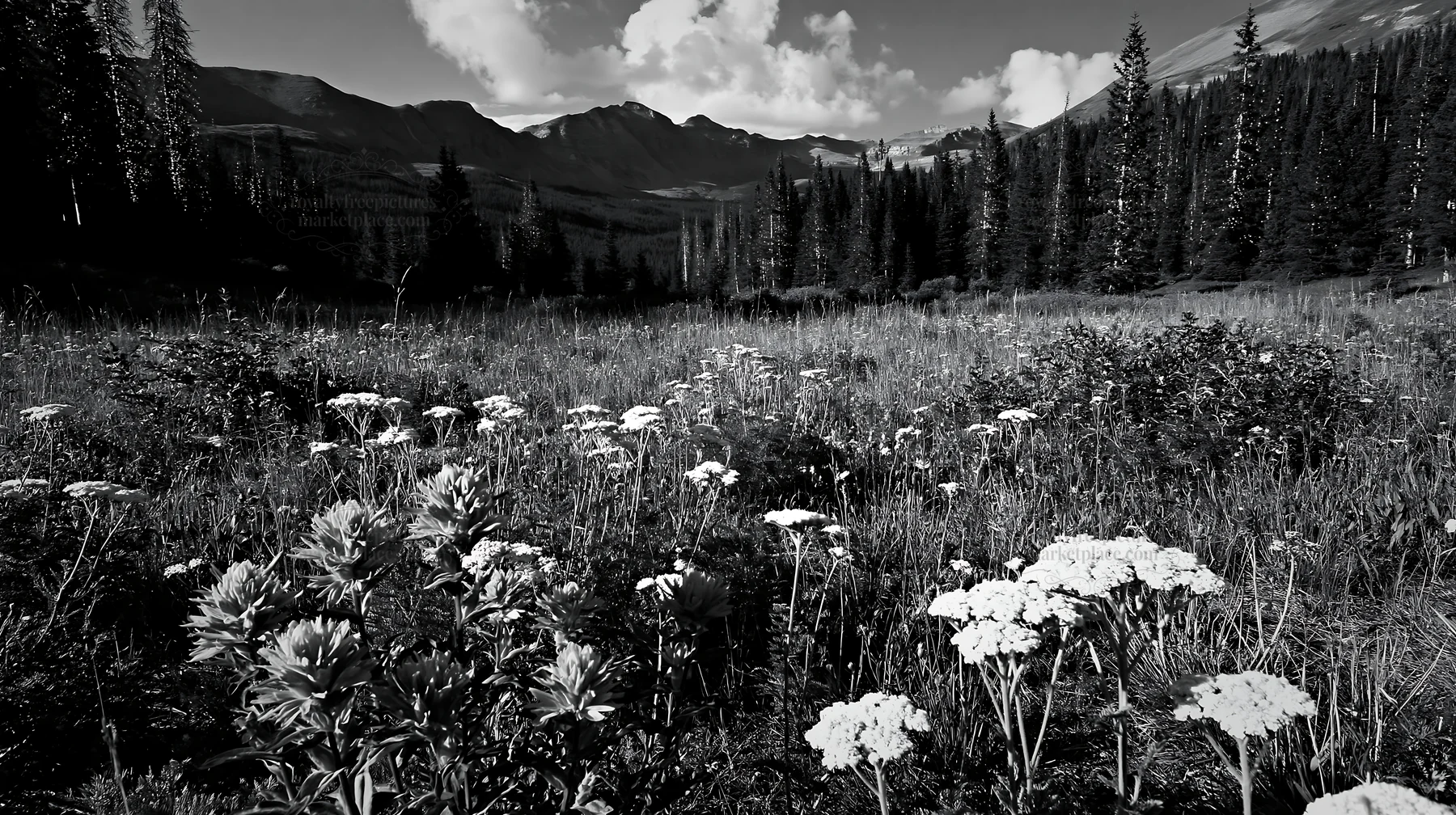 Christmas lights shine over mountain valley meadow - AI-generated stock image