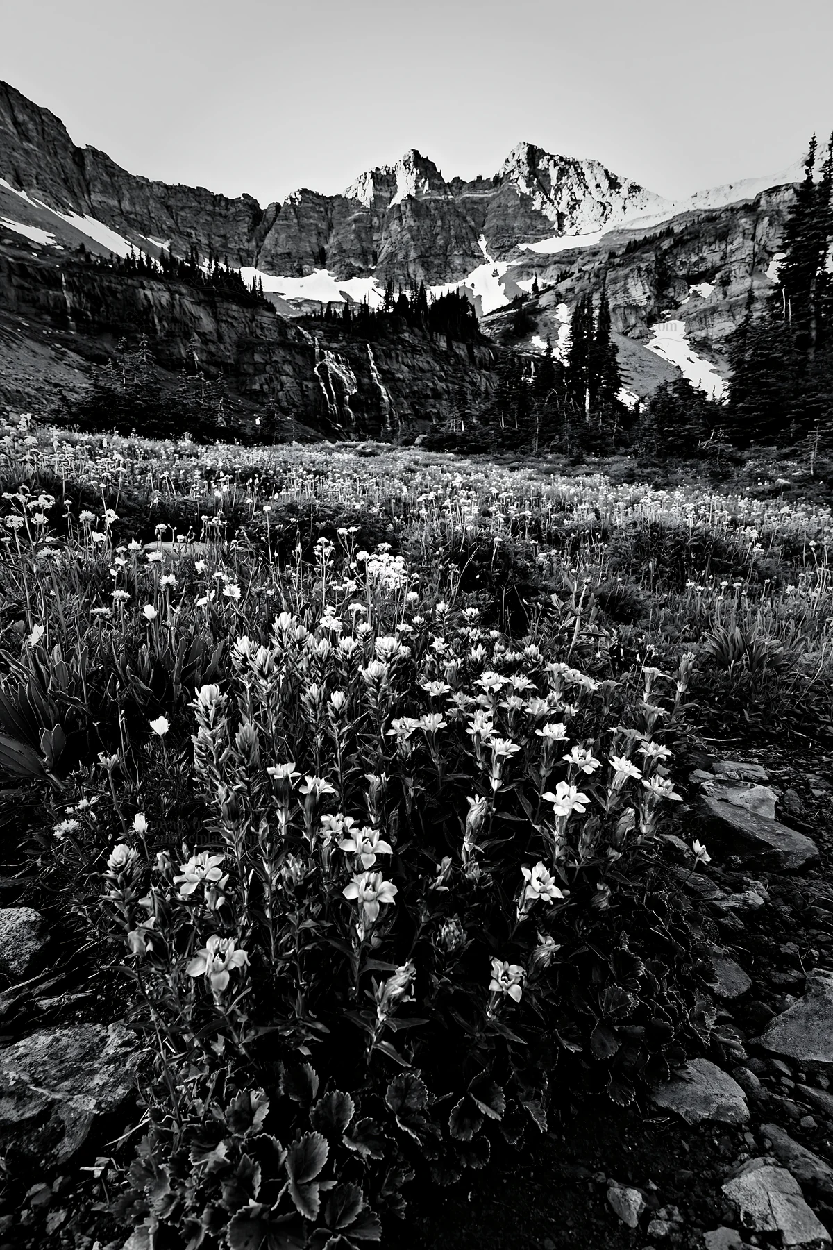 Flower meadow with distant mountain cascade - AI-generated stock image