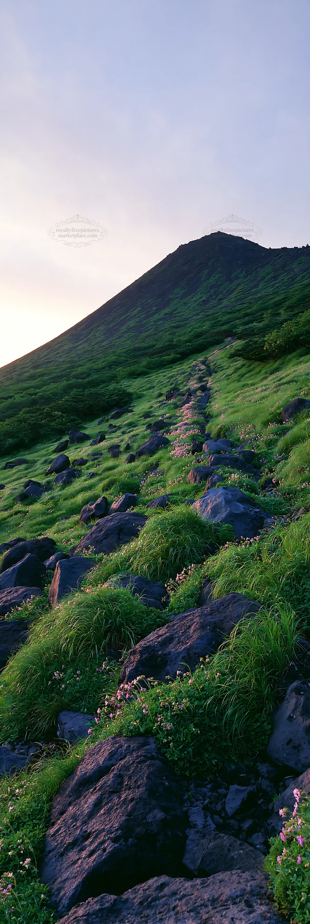 Yamanashi meadow with basalt stones during sunset - AI-generated stock image