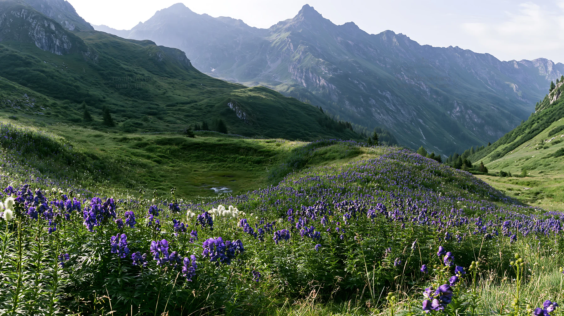 Swiss alpine meadow with flowers and mountains in panorama - AI-generated stock image
