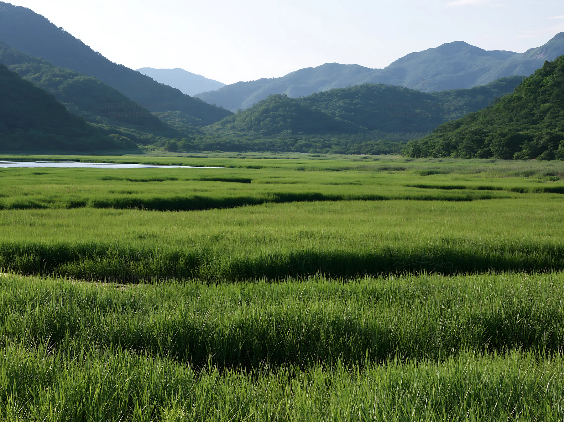 Shiga wetland meadow with reeds and distant mountains - AI-generated stock image