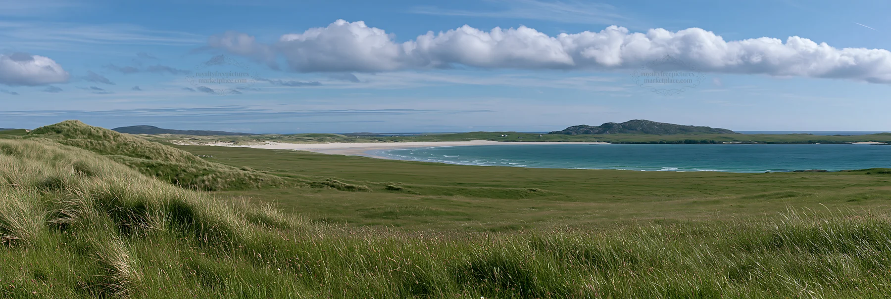 Machair beach meadow with ocean view on a sunny day - AI-generated stock image