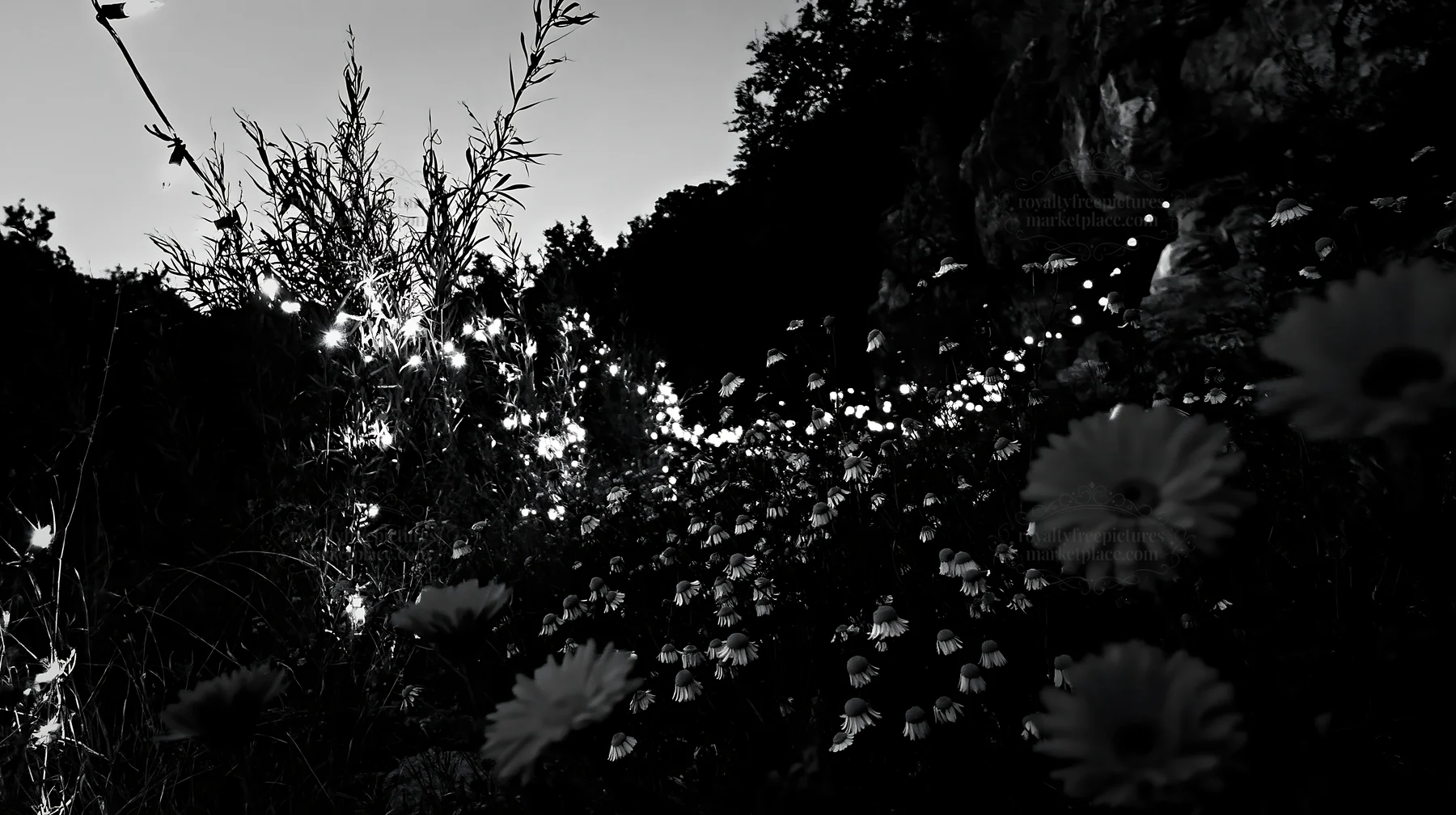 Christmas lights in meadow by cave at dusk - AI-generated stock image