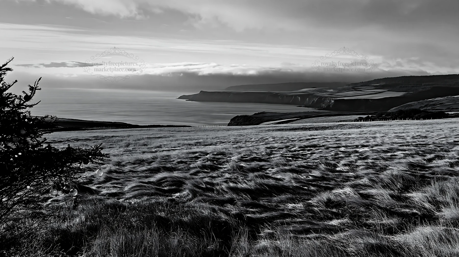 Expansive meadow with coastline under cloudy sky - AI-generated stock image