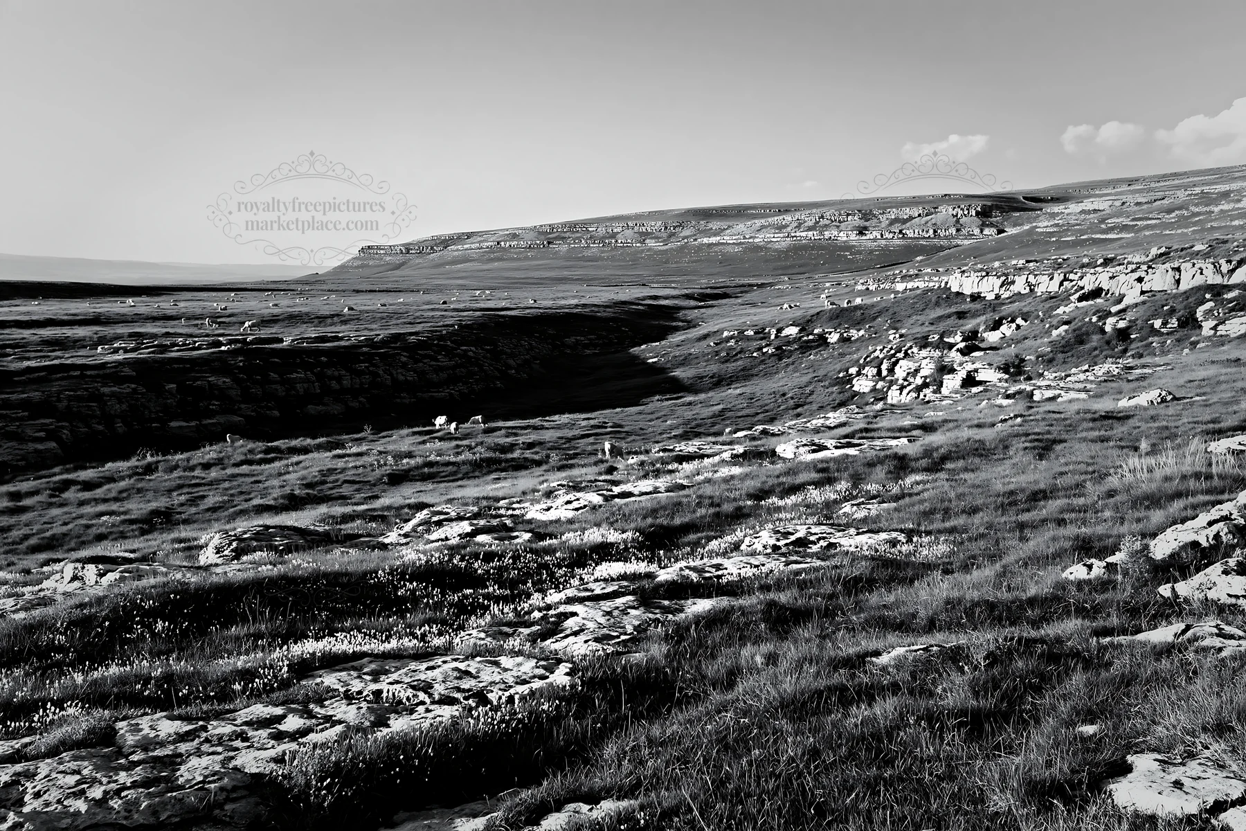 Sunny meadow on limestone escarpment with open space - AI-generated stock image