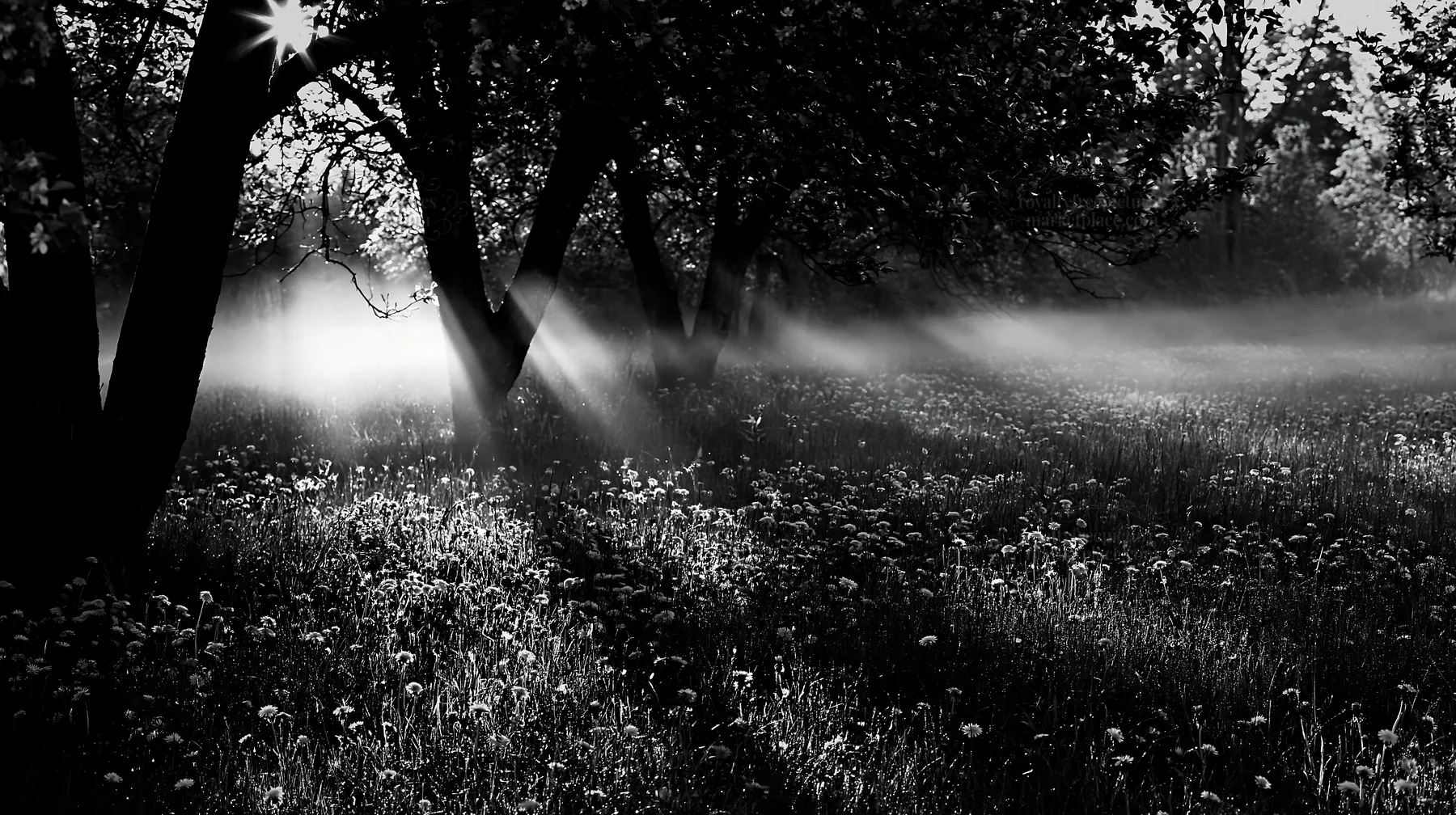 Dandelion meadow at dawn with trees and mist - AI-generated stock image