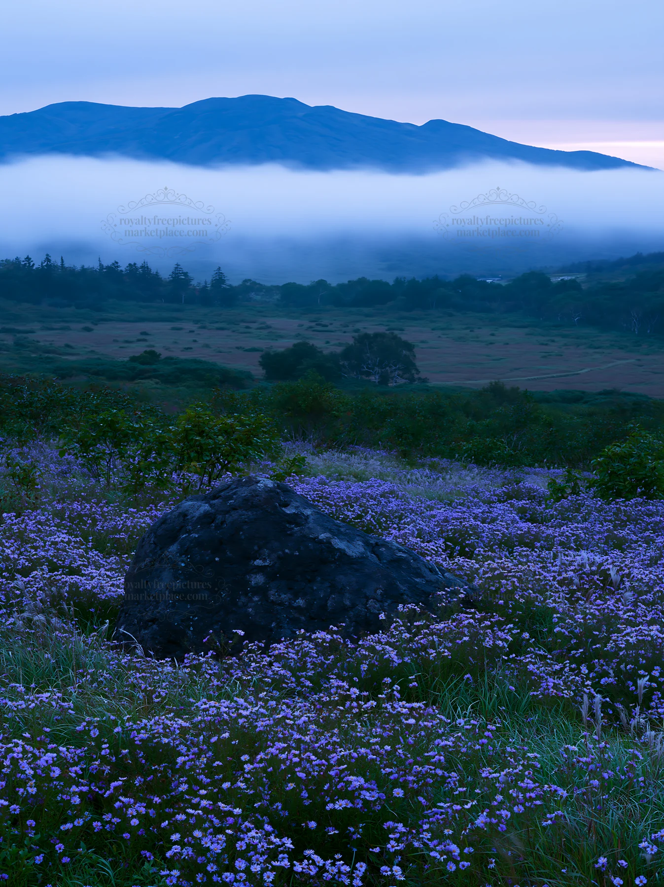 Aomori climate resilient meadow with boulder under cloudy sky - AI-generated stock image