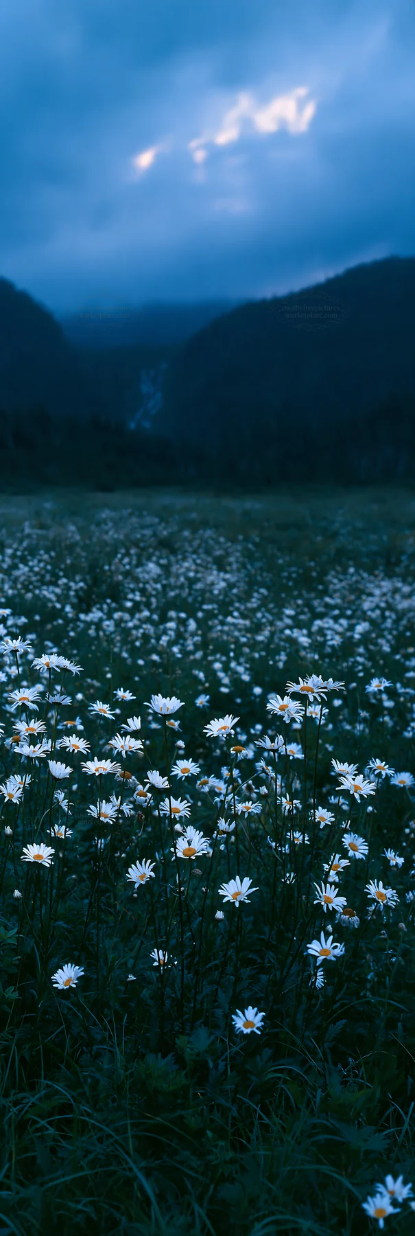 Misty waterfall in flower meadow landscape - AI-generated stock image