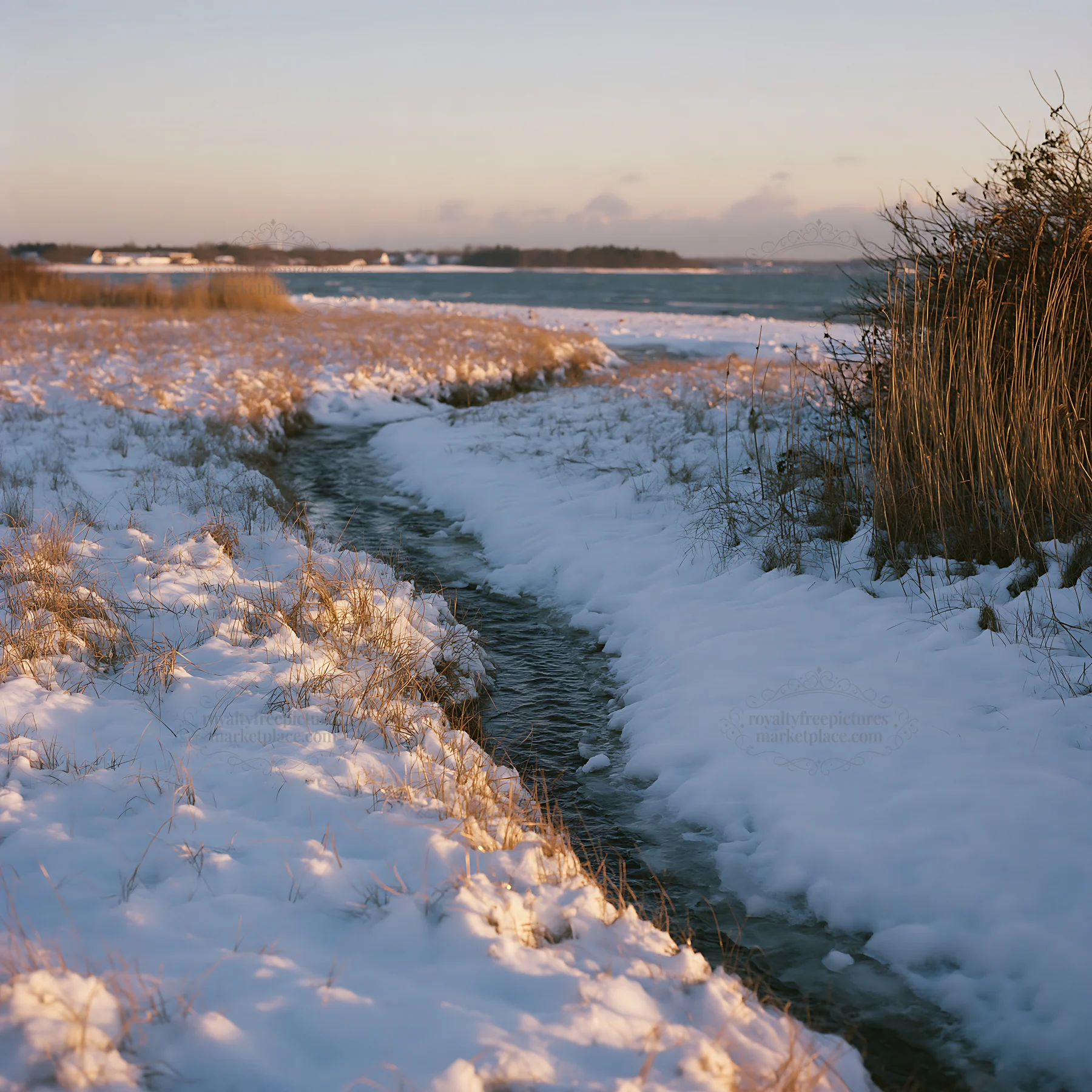 Snowy beach meadow with stream at sunset - AI-generated stock image