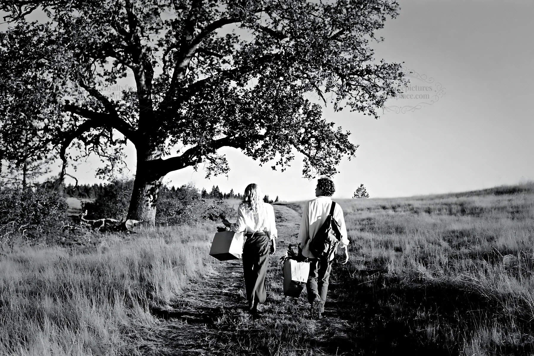 Couple walking on a path carrying boxes in a field - AI-generated stock image