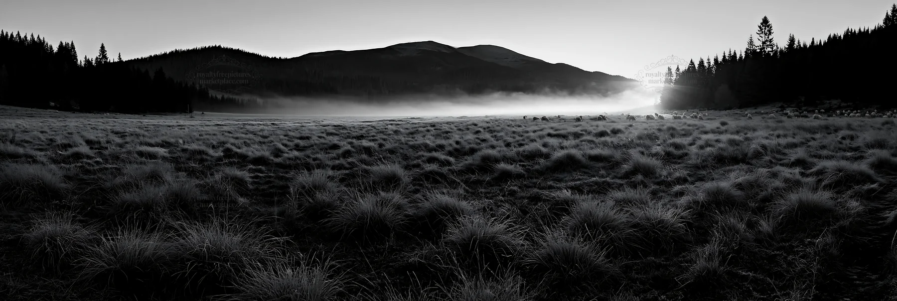 Black and white frosty meadow sunrise with mist and mountains in background - AI-generated stock image