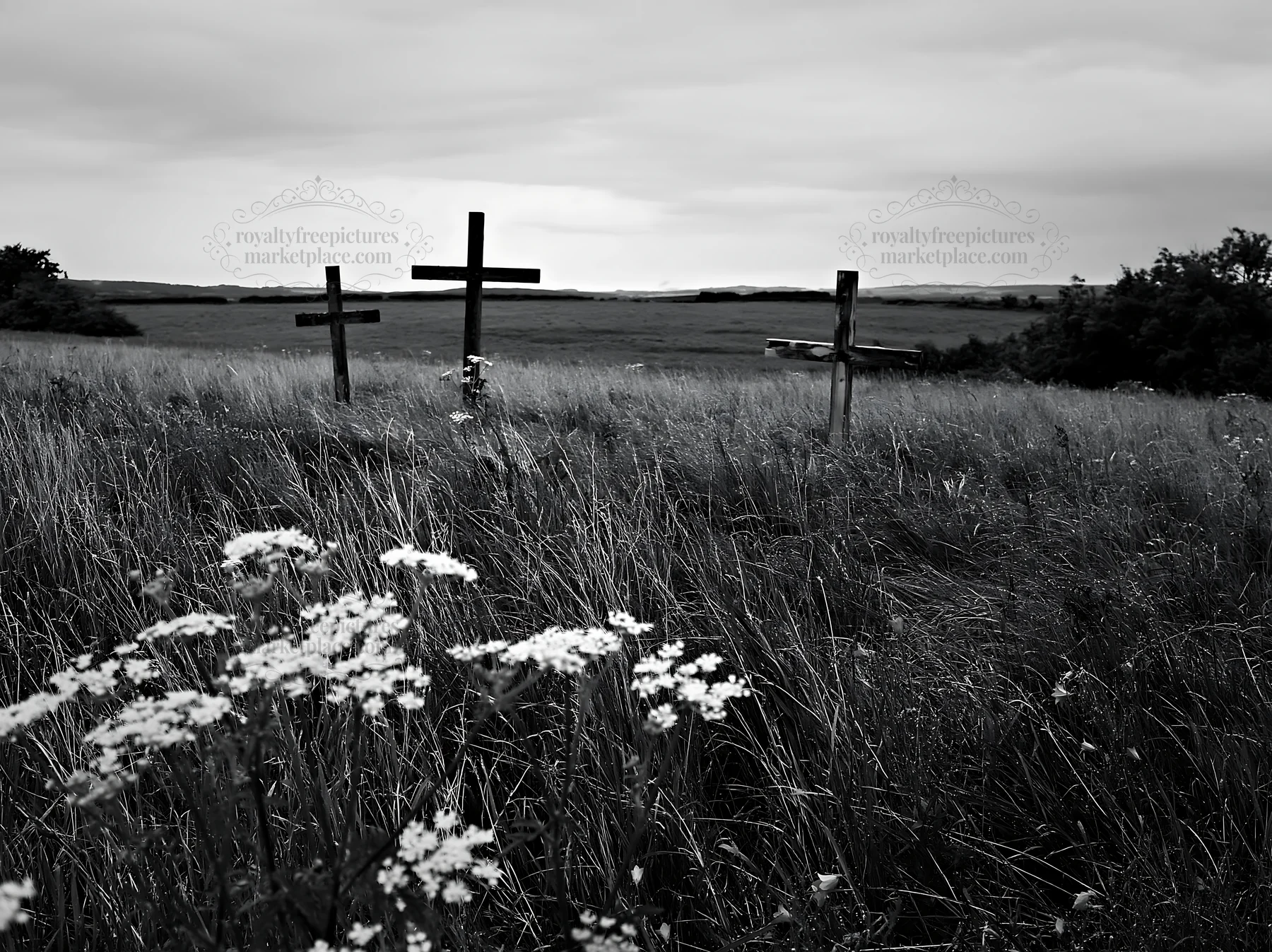 Christian crosses in rain soaked meadow with wildflowers - AI-generated stock image