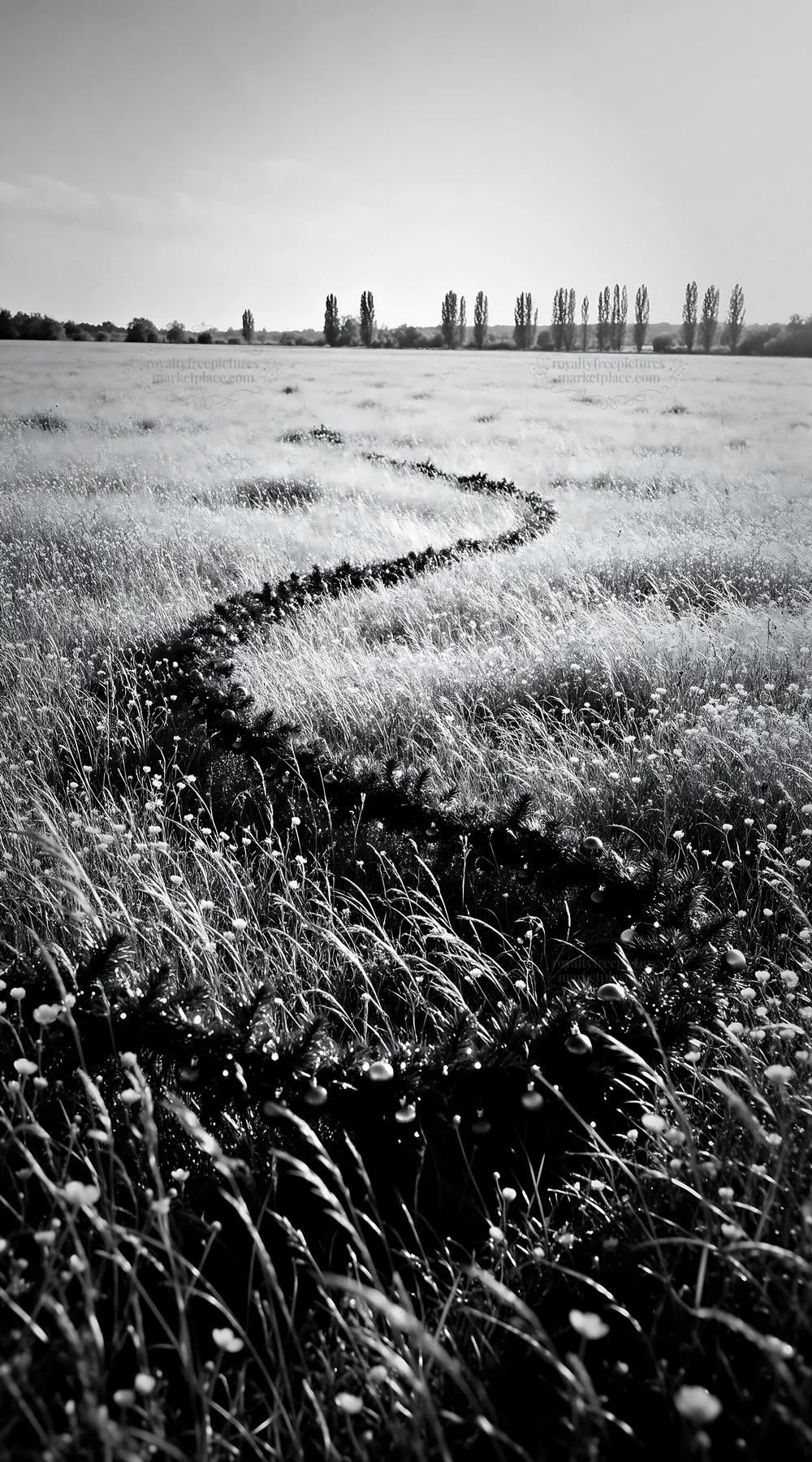 Vibrant Christmas garland curving through a grassy meadow - AI-generated stock image