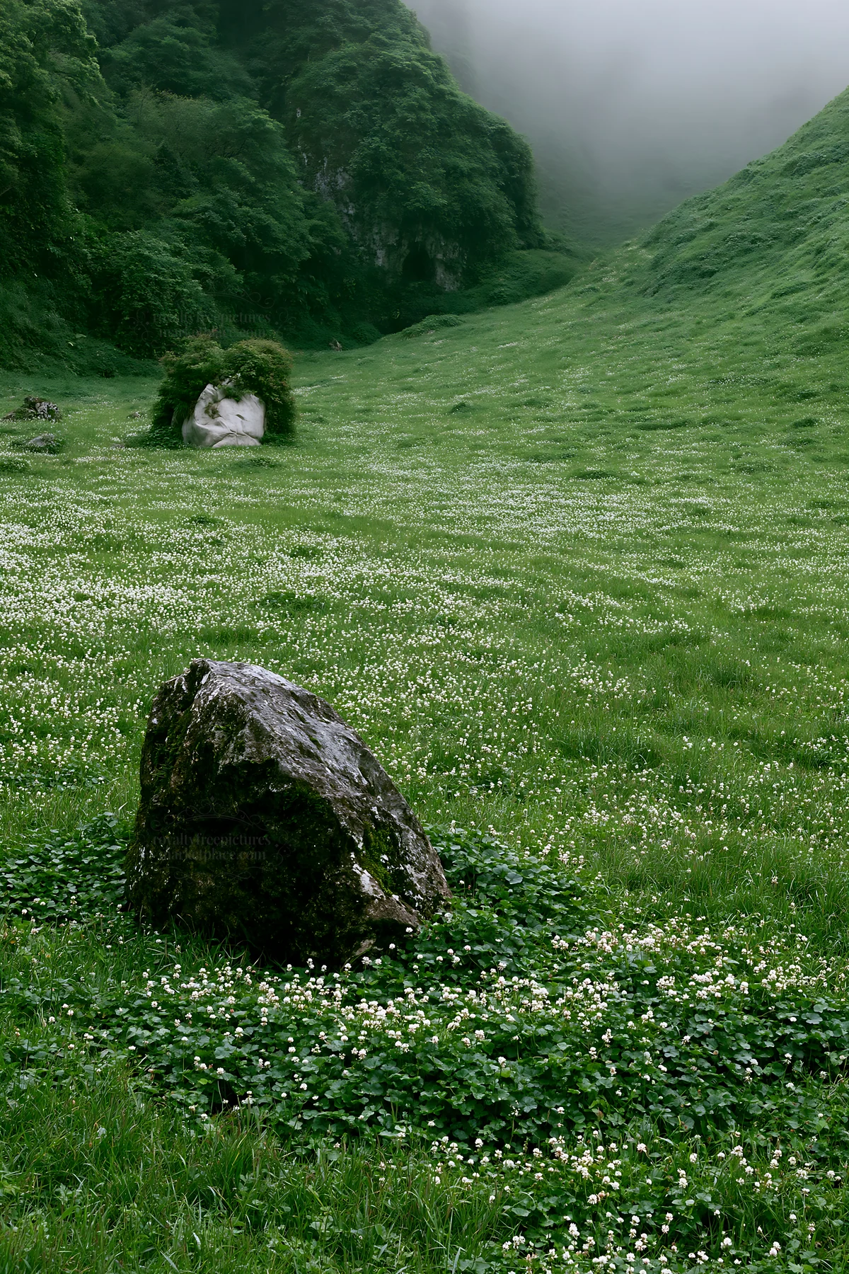 Limestone meadow with white flowers and a pale boulder - AI-generated stock image