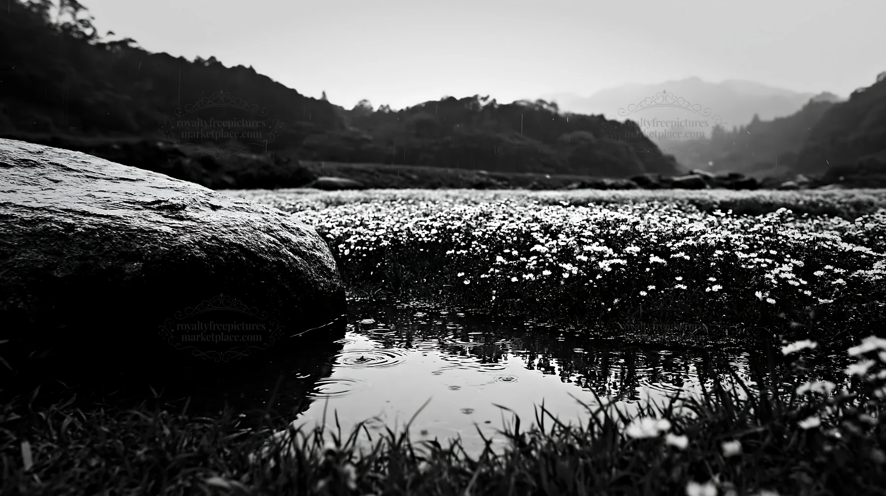 Black and white hiroshima rainy meadow smooth rock foreground - AI-generated stock image
