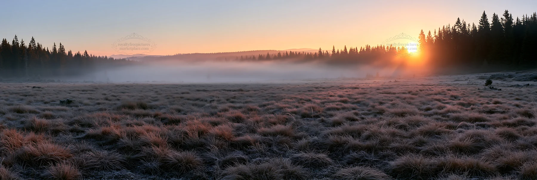 Frosty meadow sunrise with mist and trees in the background - AI-generated stock image
