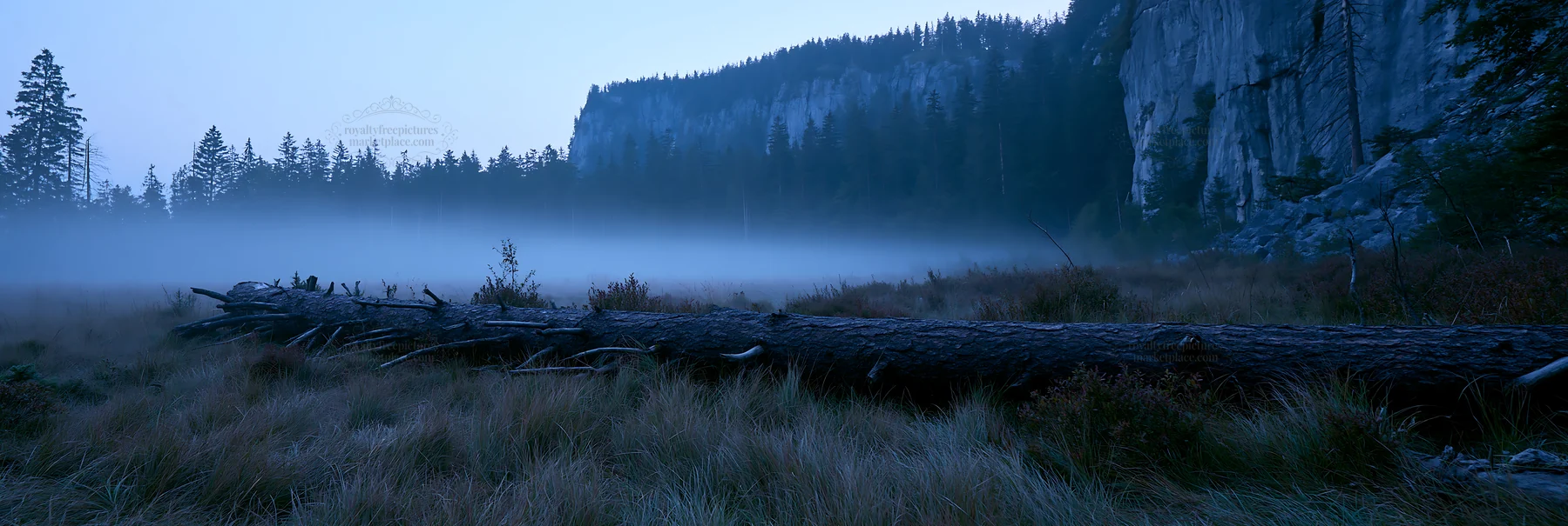 Weathered log in a misty meadow at dawn - AI-generated stock image